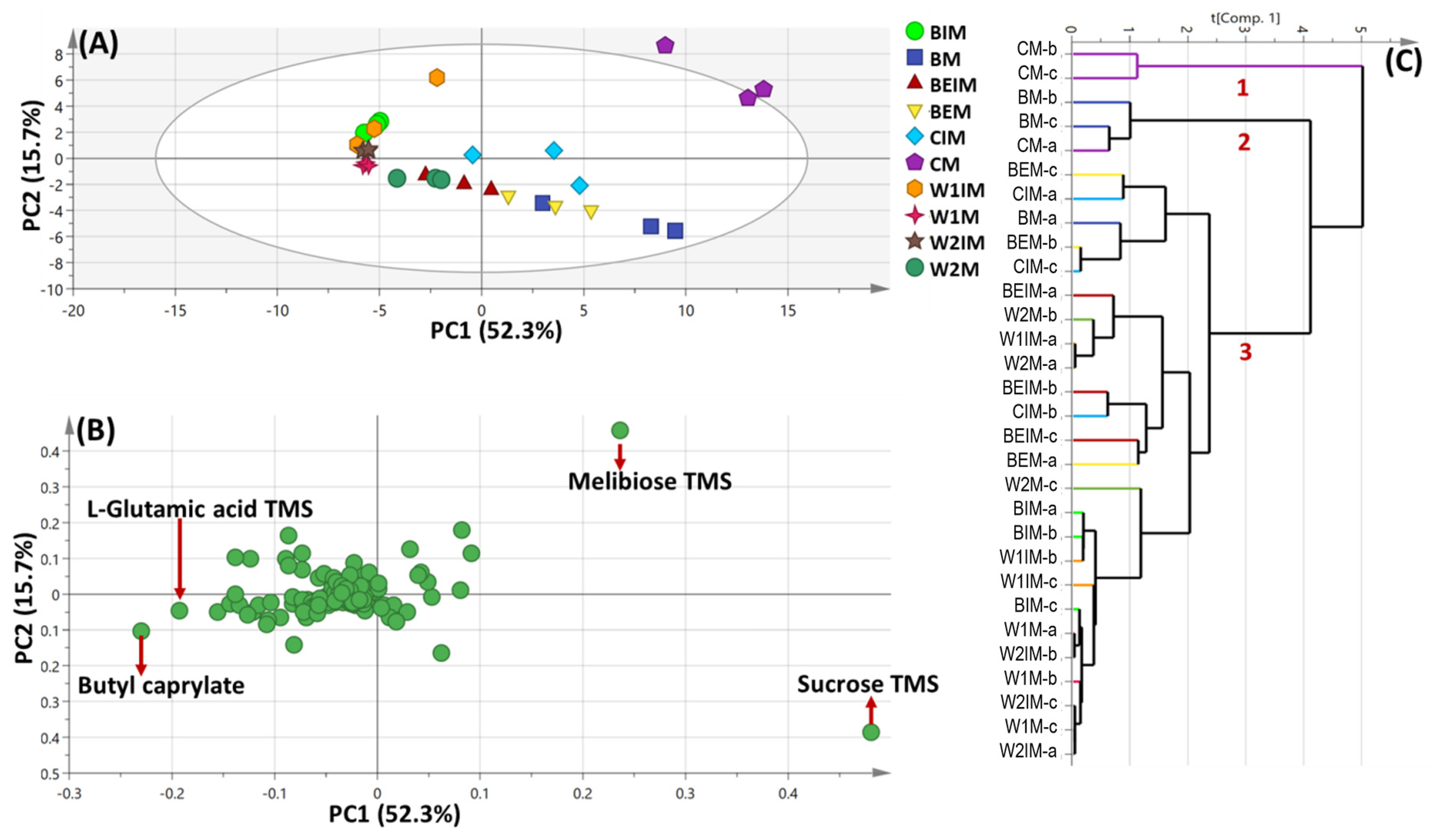 Metabolites 13 00163 g002 Metabolites 13 00163 g002