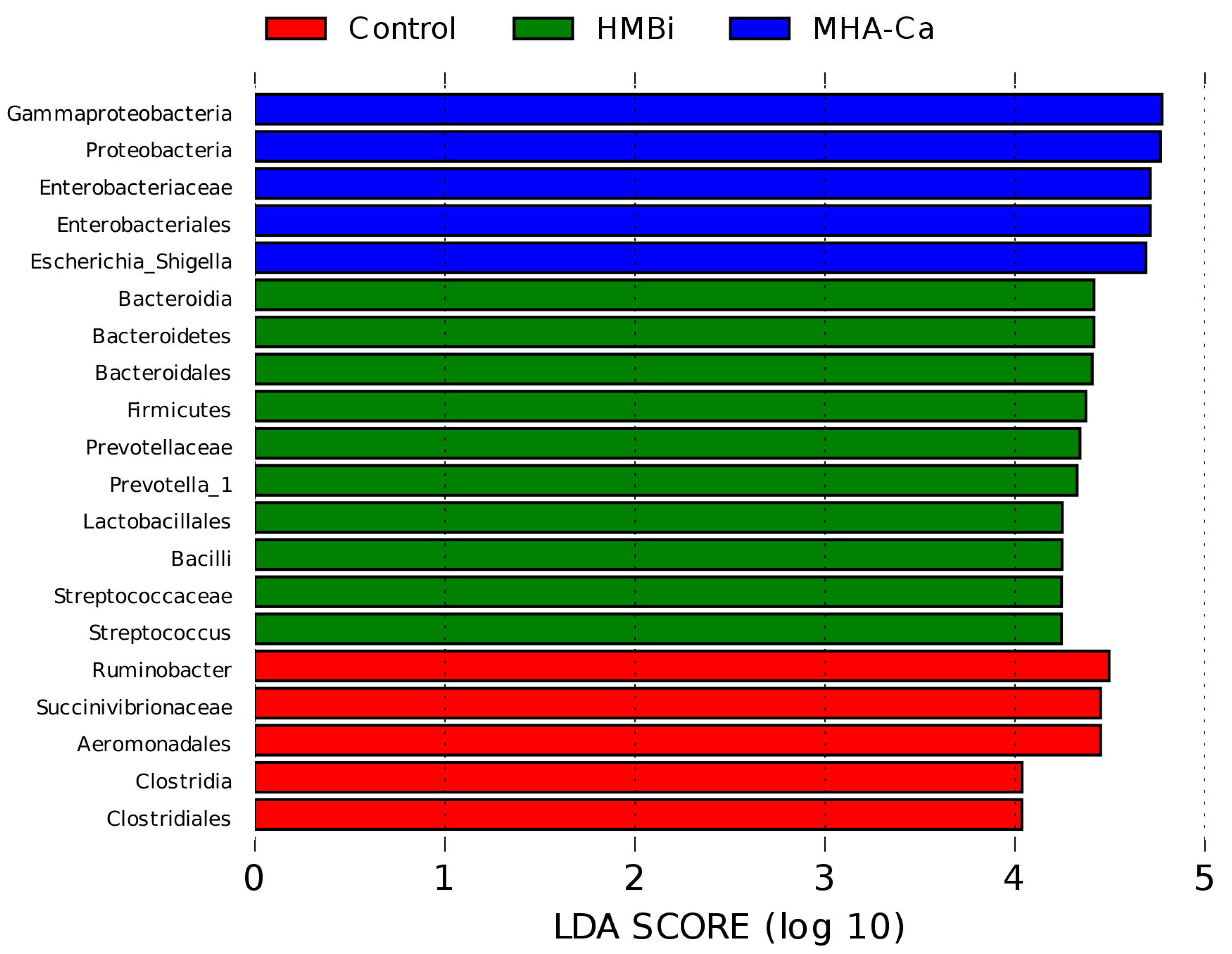 Metabolites 13 00169 g006 Metabolites 13 00169 g006