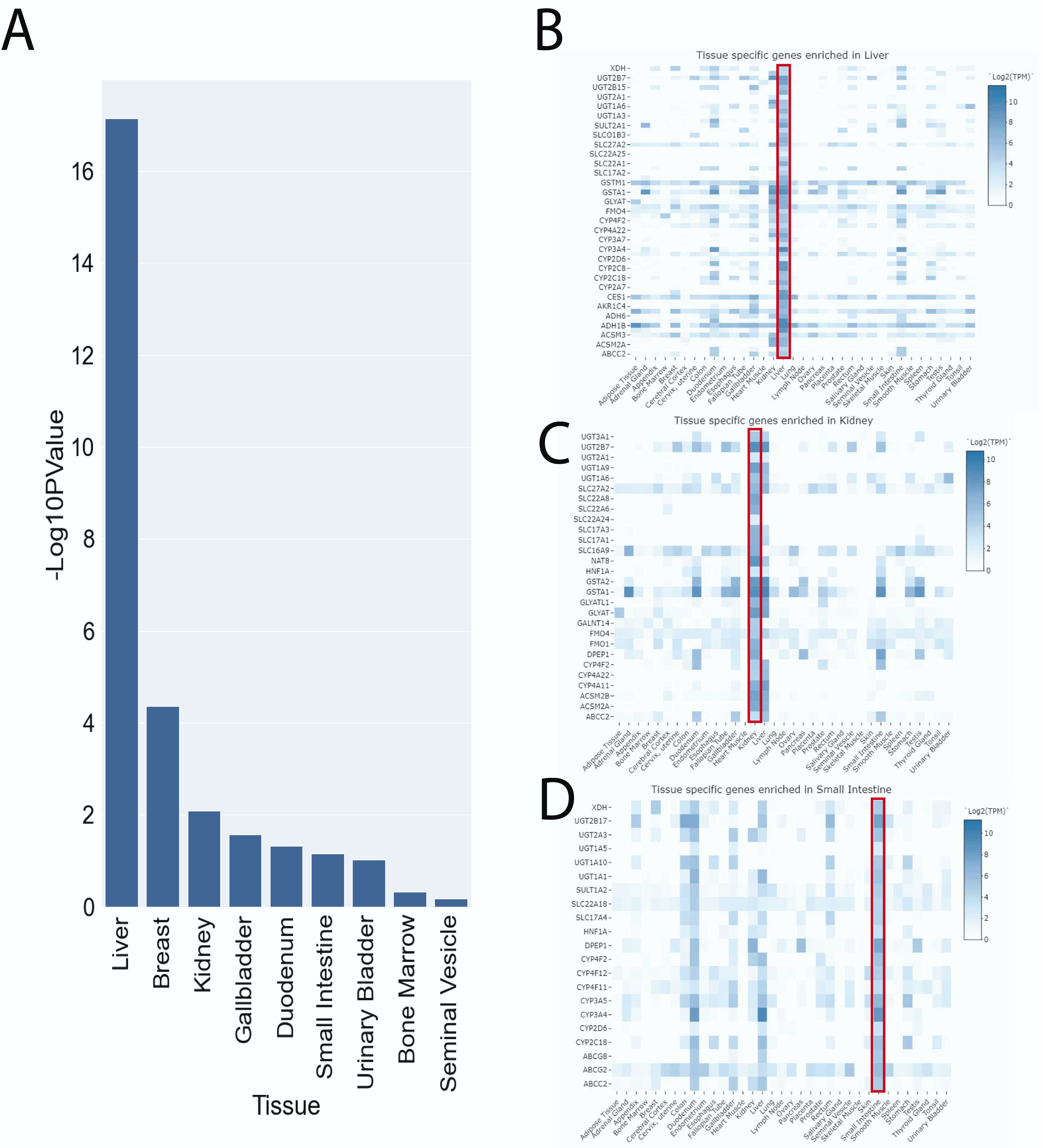 Metabolites 13 00171 g003 Metabolites 13 00171 g003