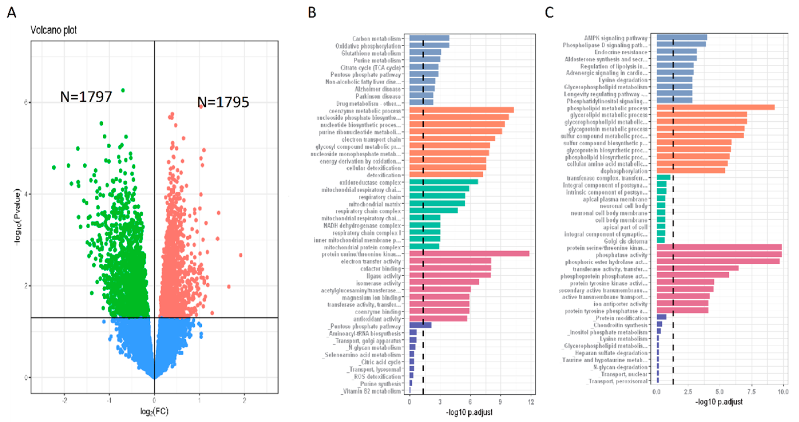 Metabolites 13 00172 g004 Metabolites 13 00172 g004