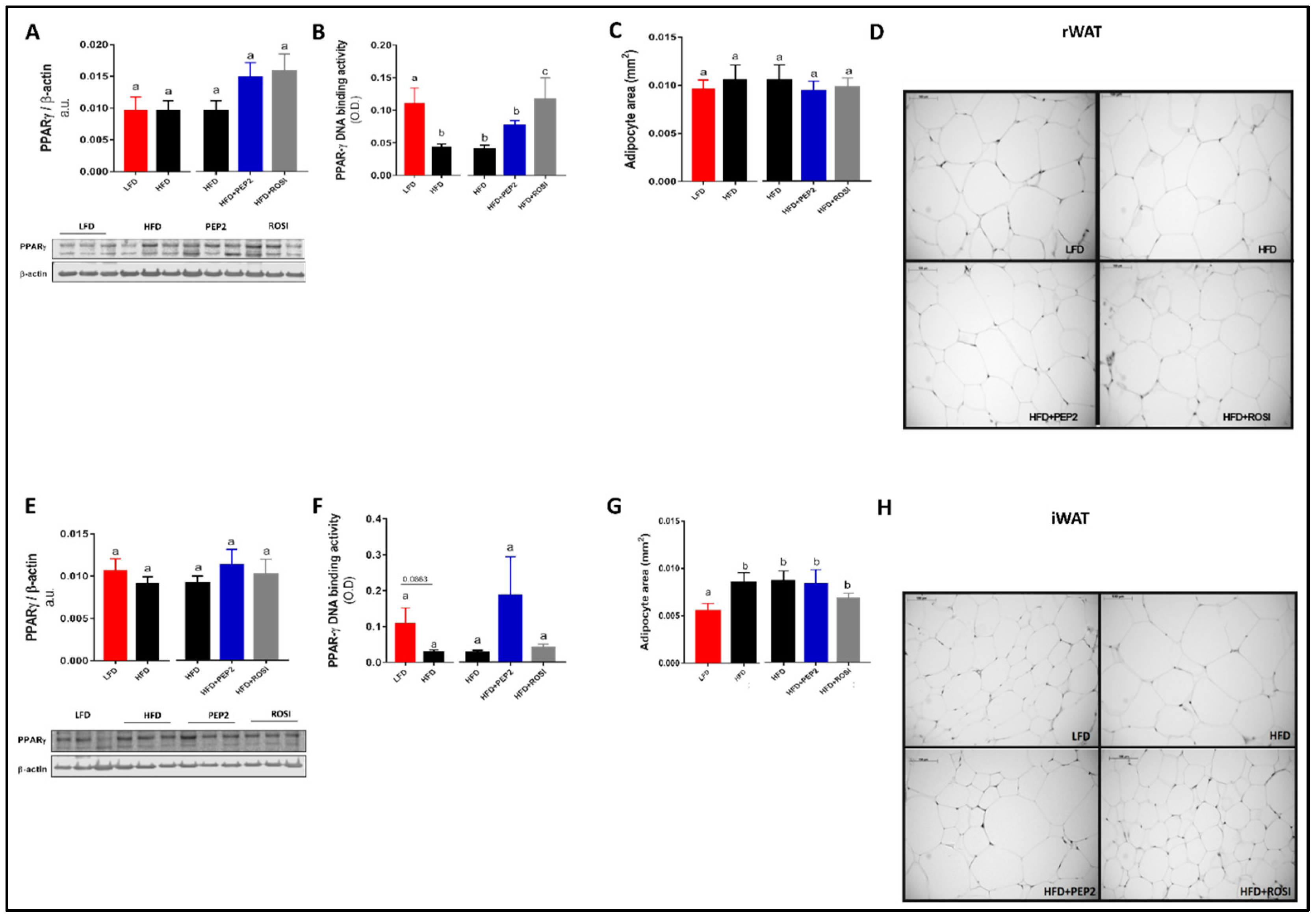 Metabolites 13 00174 g004 Metabolites 13 00174 g004