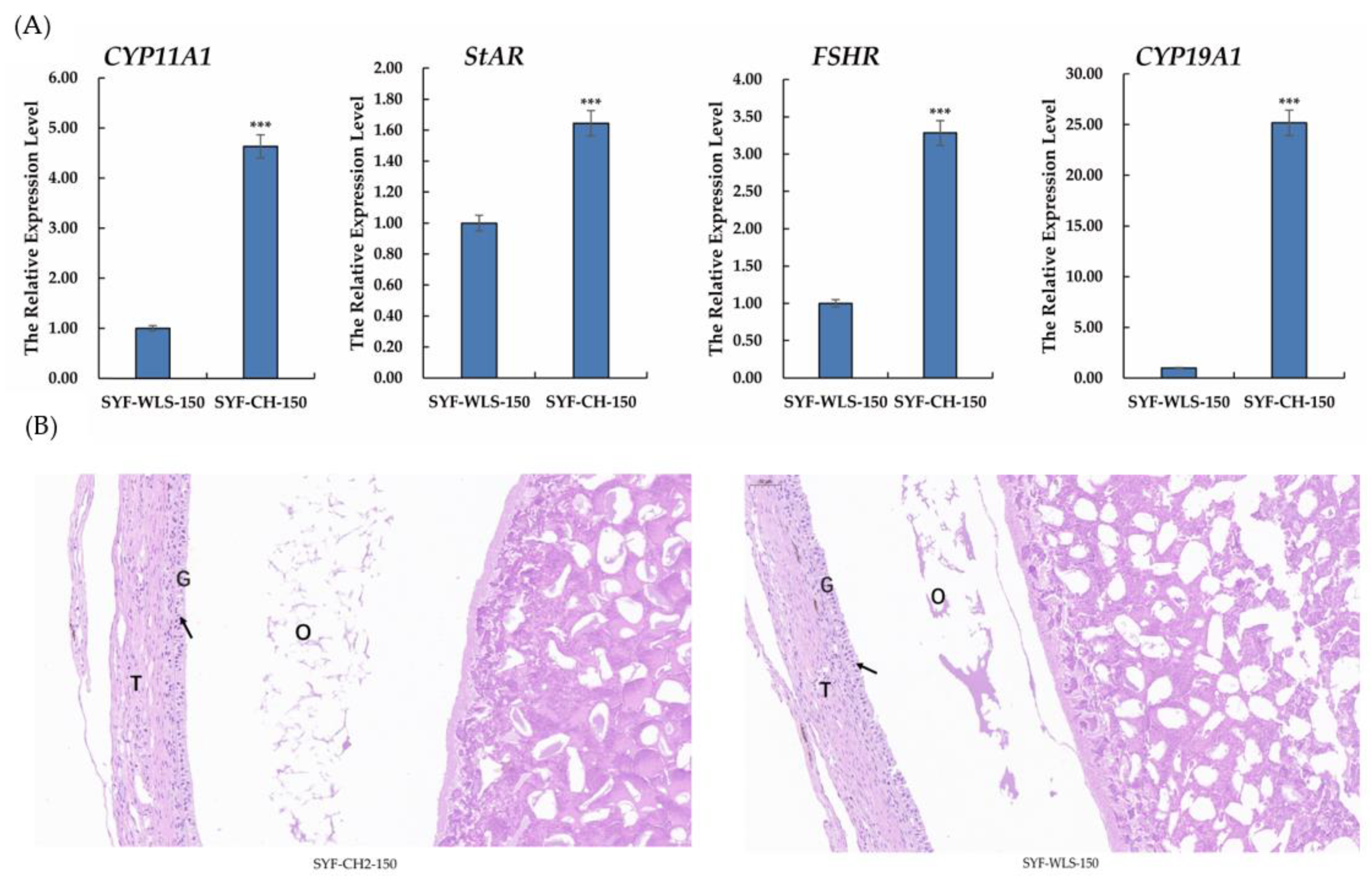 Metabolites 13 00176 g002 Metabolites 13 00176 g002
