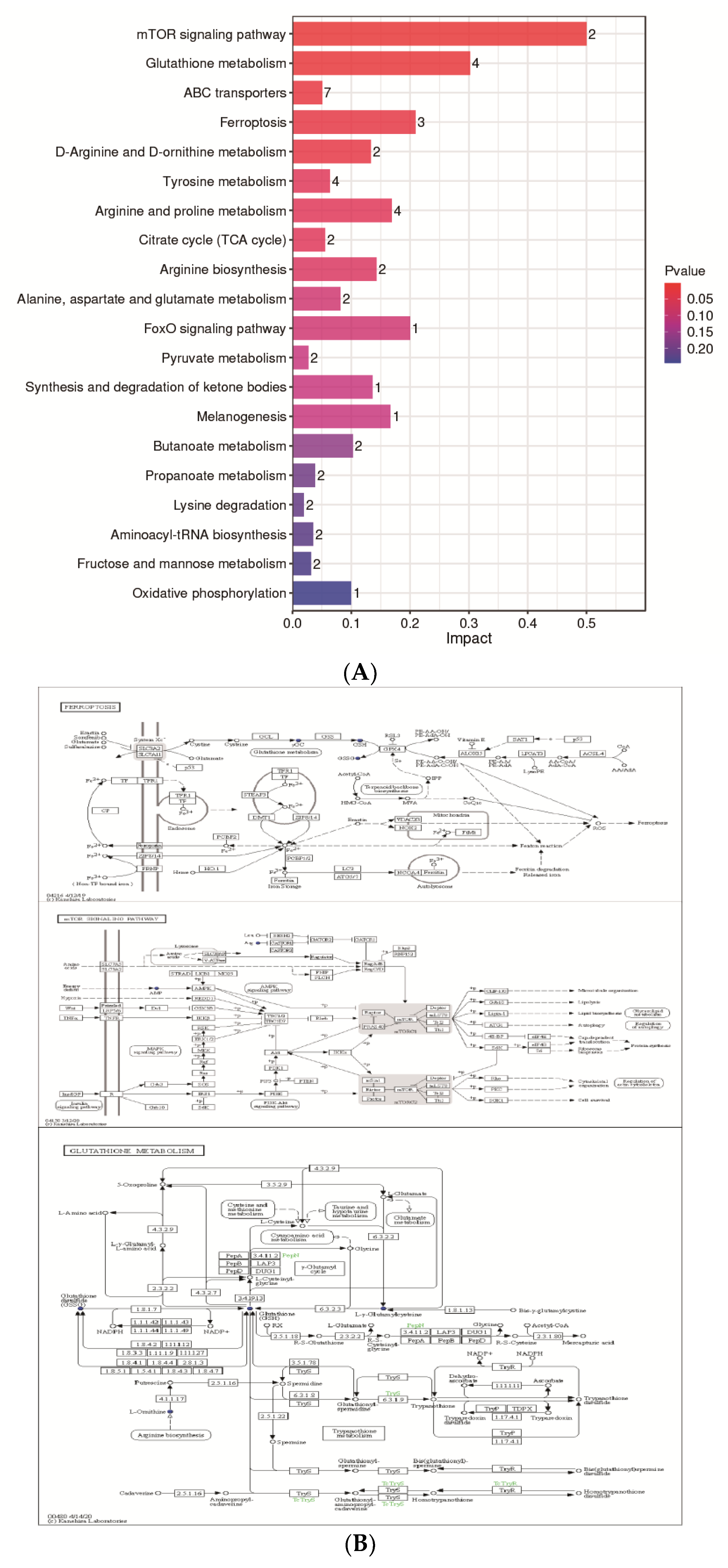 Metabolites 13 00176 g006 Metabolites 13 00176 g006