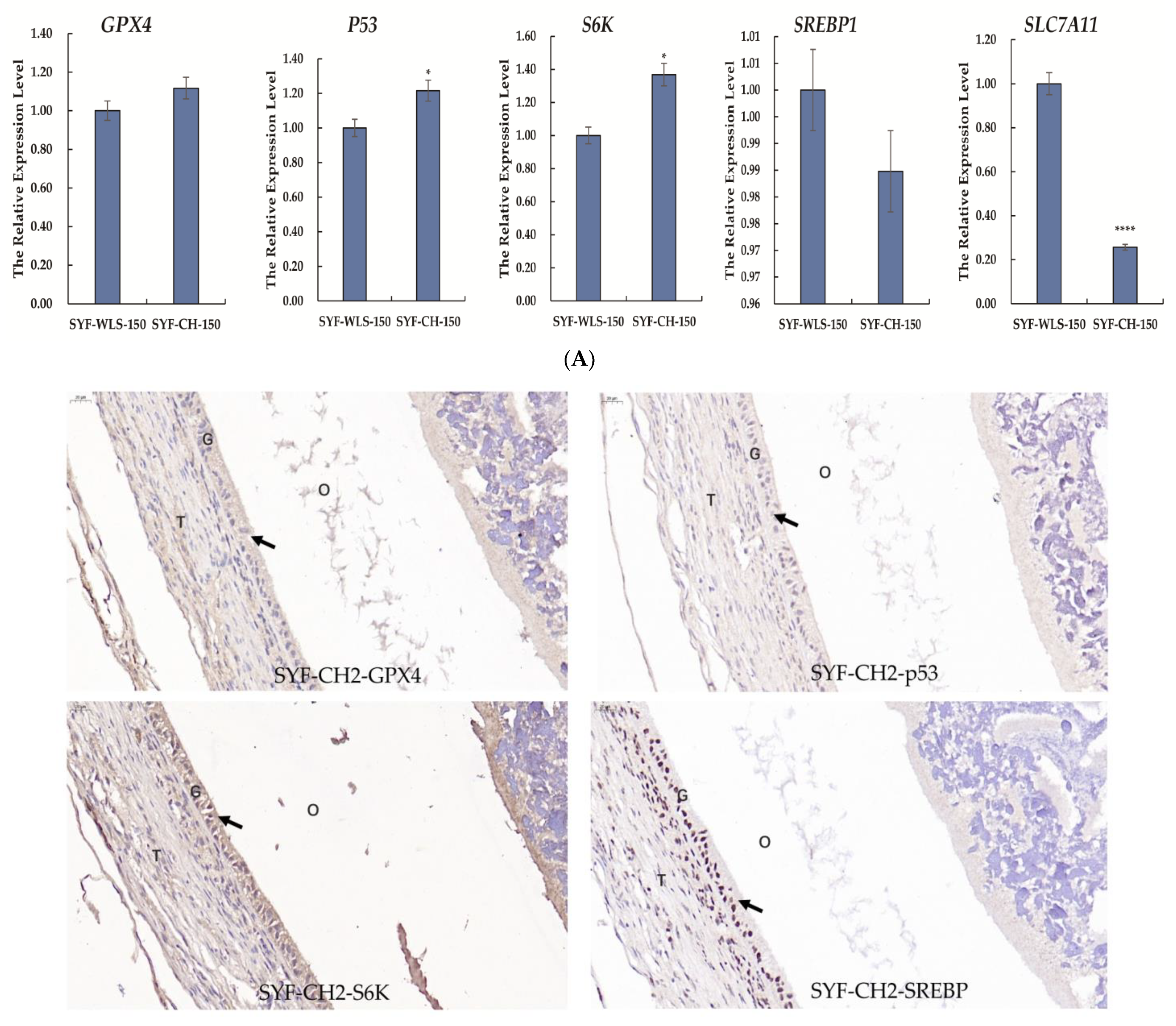 Metabolites 13 00176 g007a Metabolites 13 00176 g007a