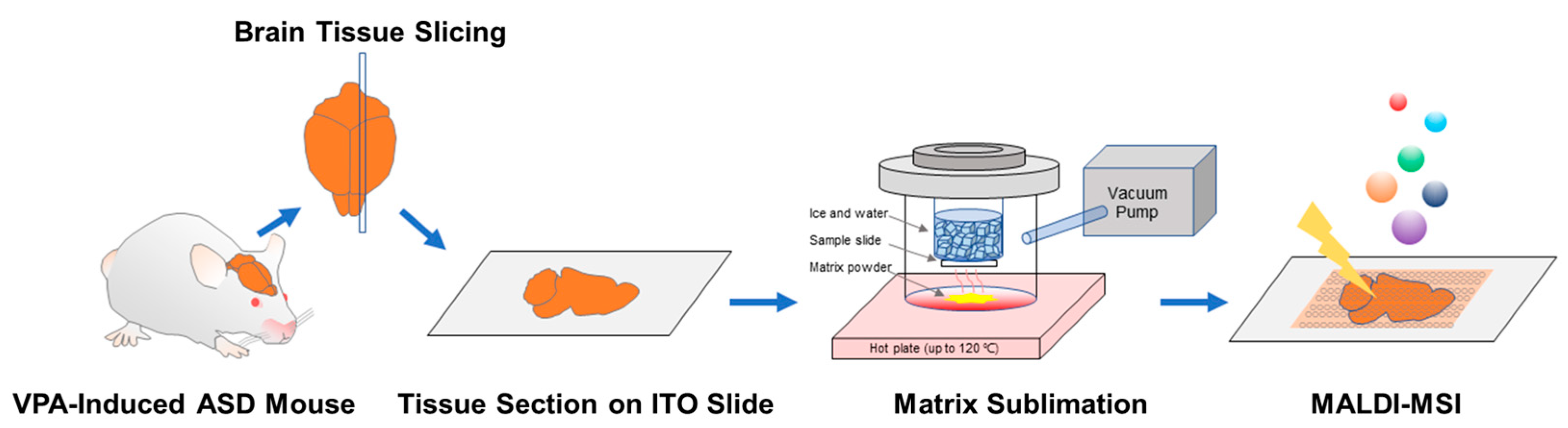 Metabolites 13 00178 g001 Metabolites 13 00178 g001