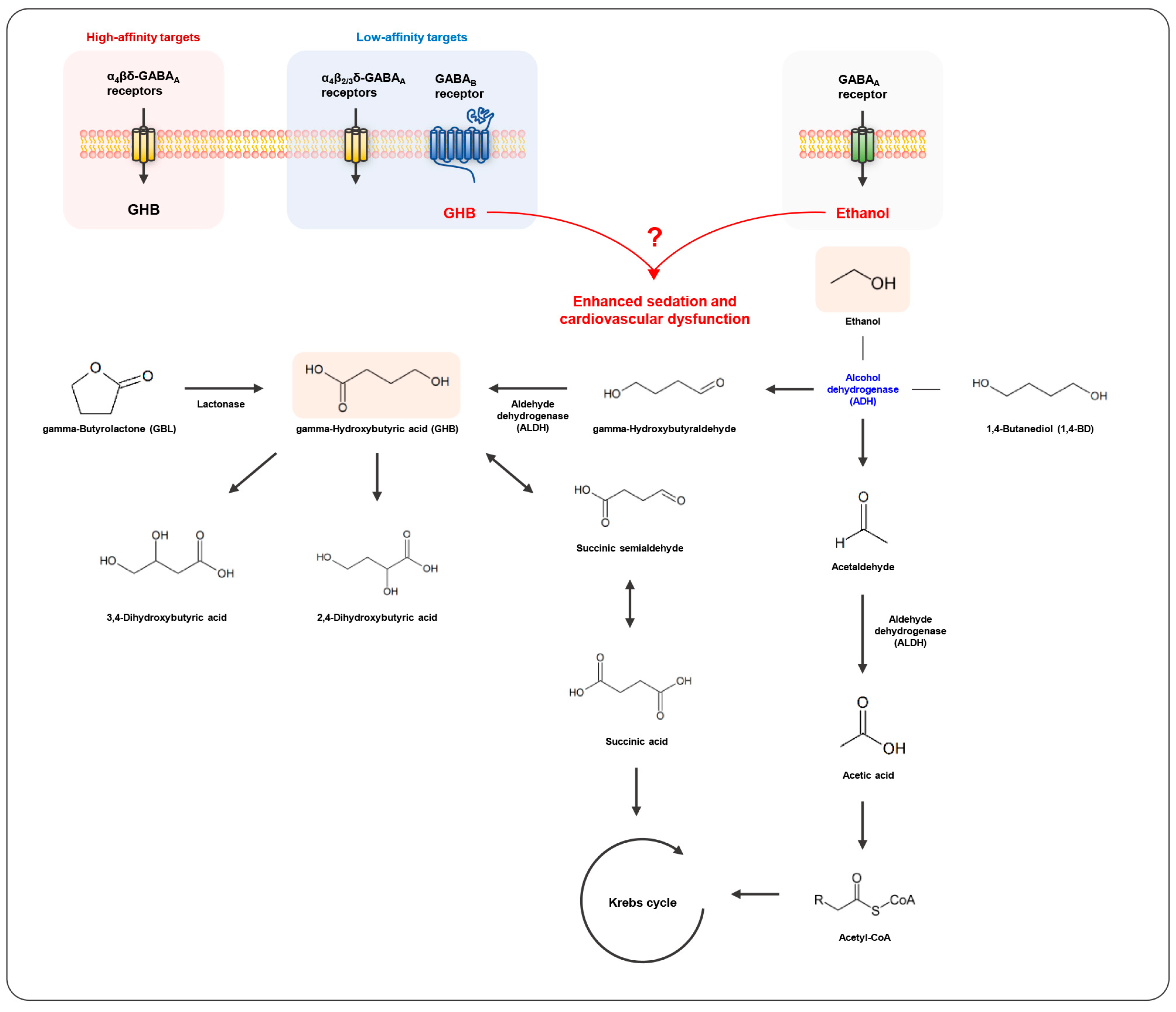 Metabolites 13 00180 g002 Metabolites 13 00180 g002