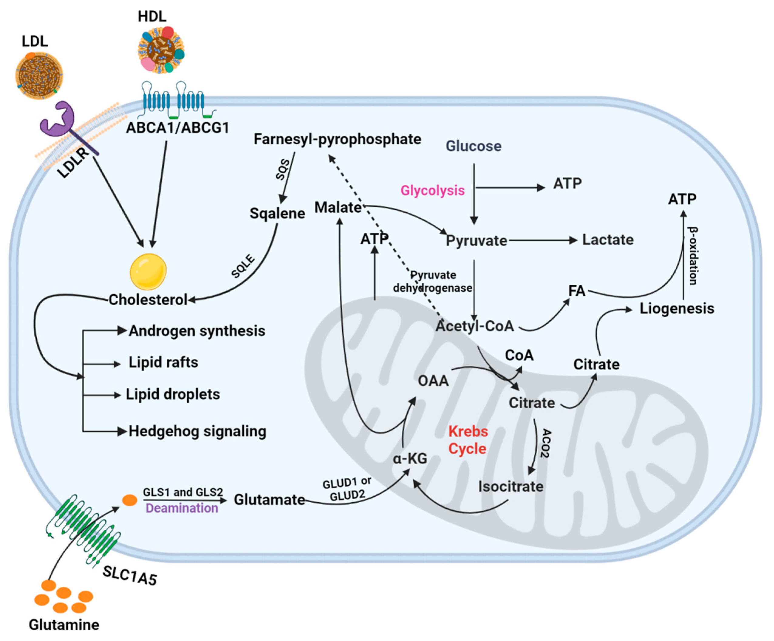Metabolites 13 00183 g002 Metabolites 13 00183 g002