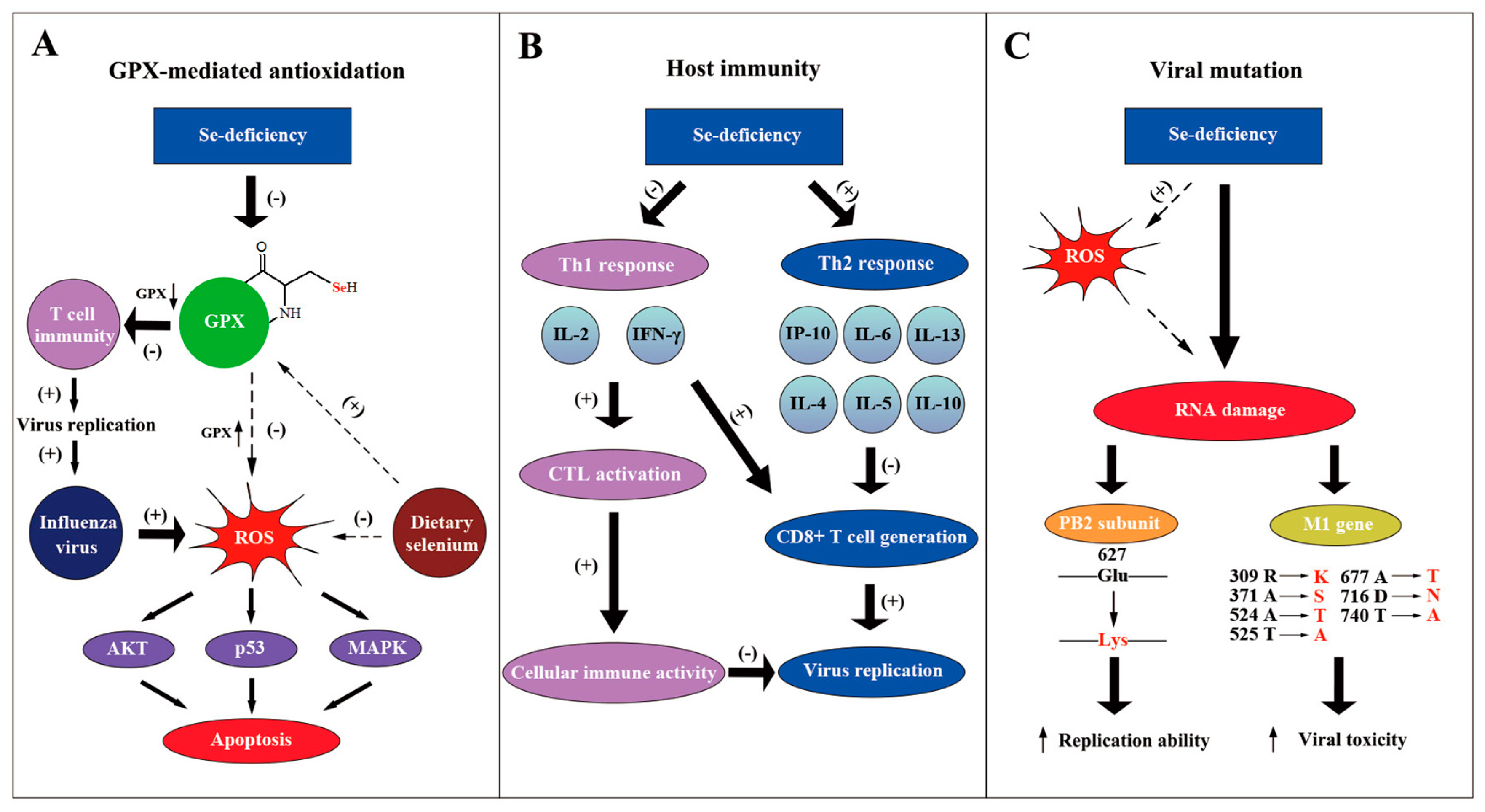 Metabolites 13 00184 g002 Metabolites 13 00184 g002
