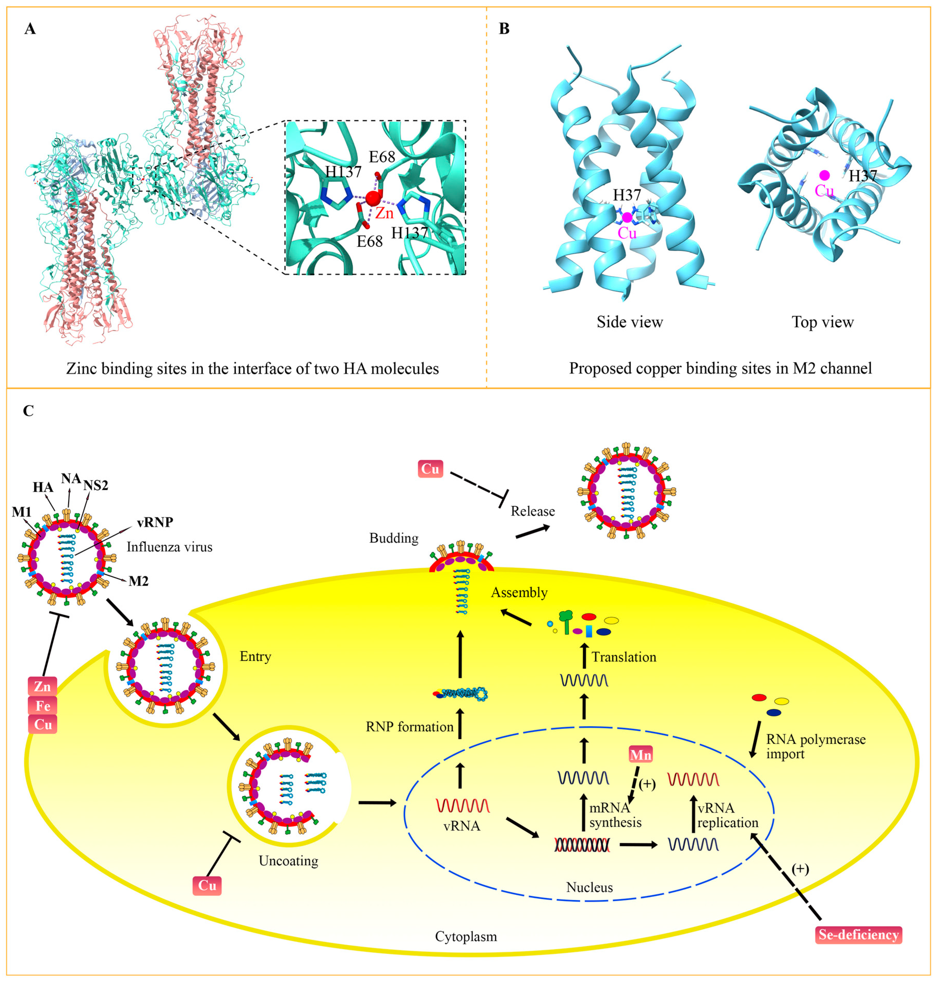 Metabolites 13 00184 g003 Metabolites 13 00184 g003