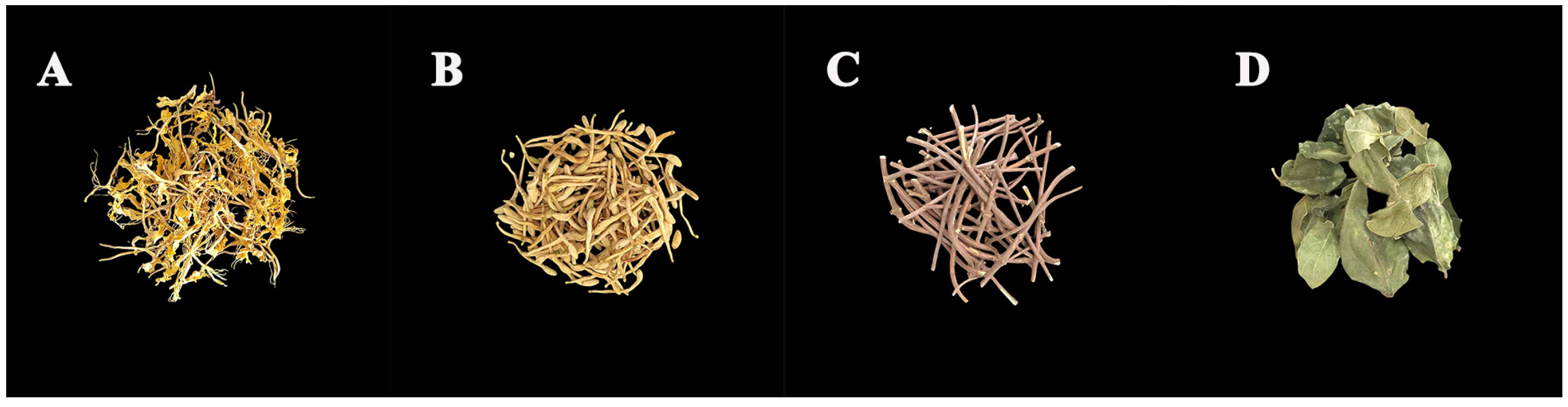 Metabolites 13 00186 g001