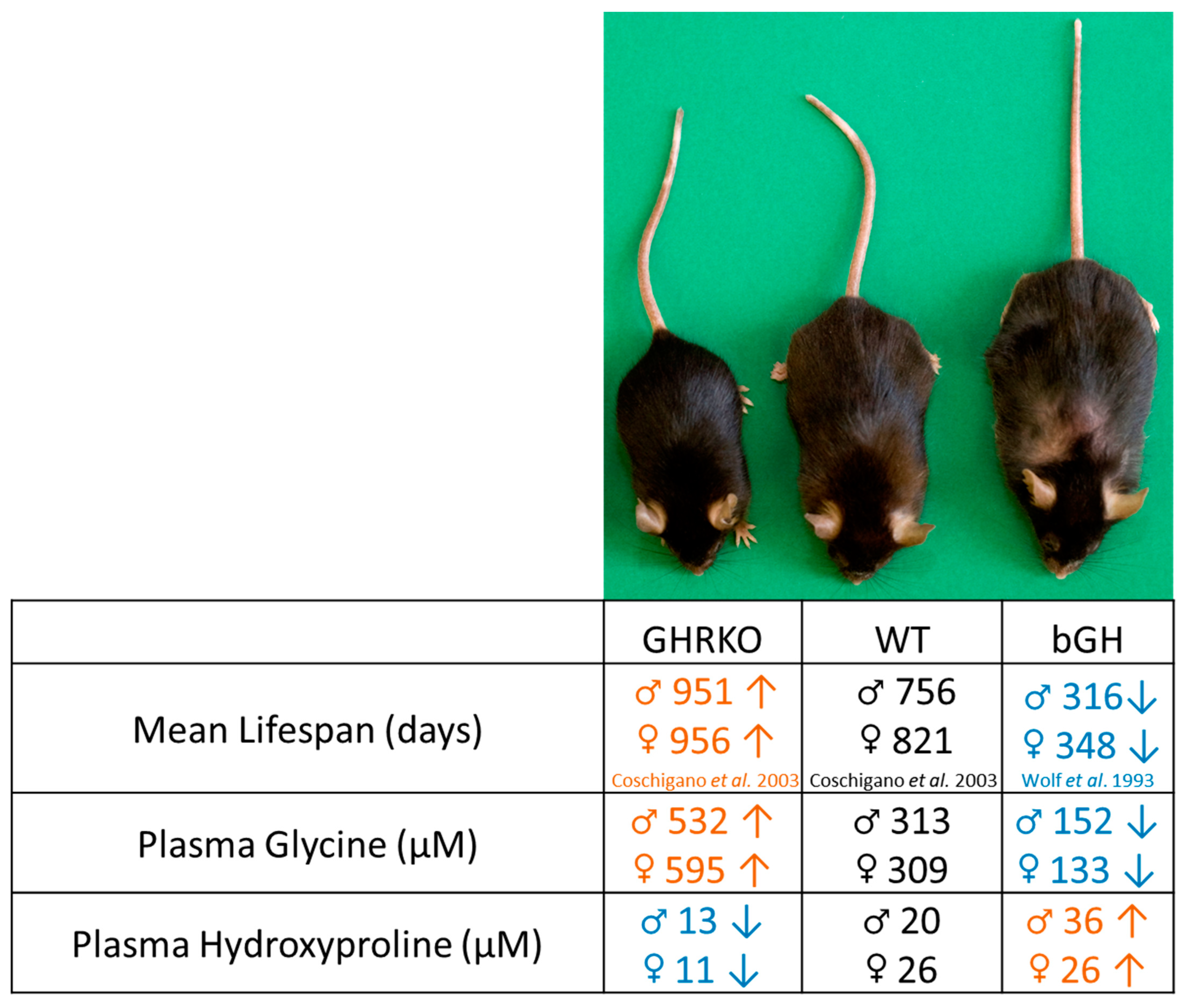 Metabolites 13 00191 g004
