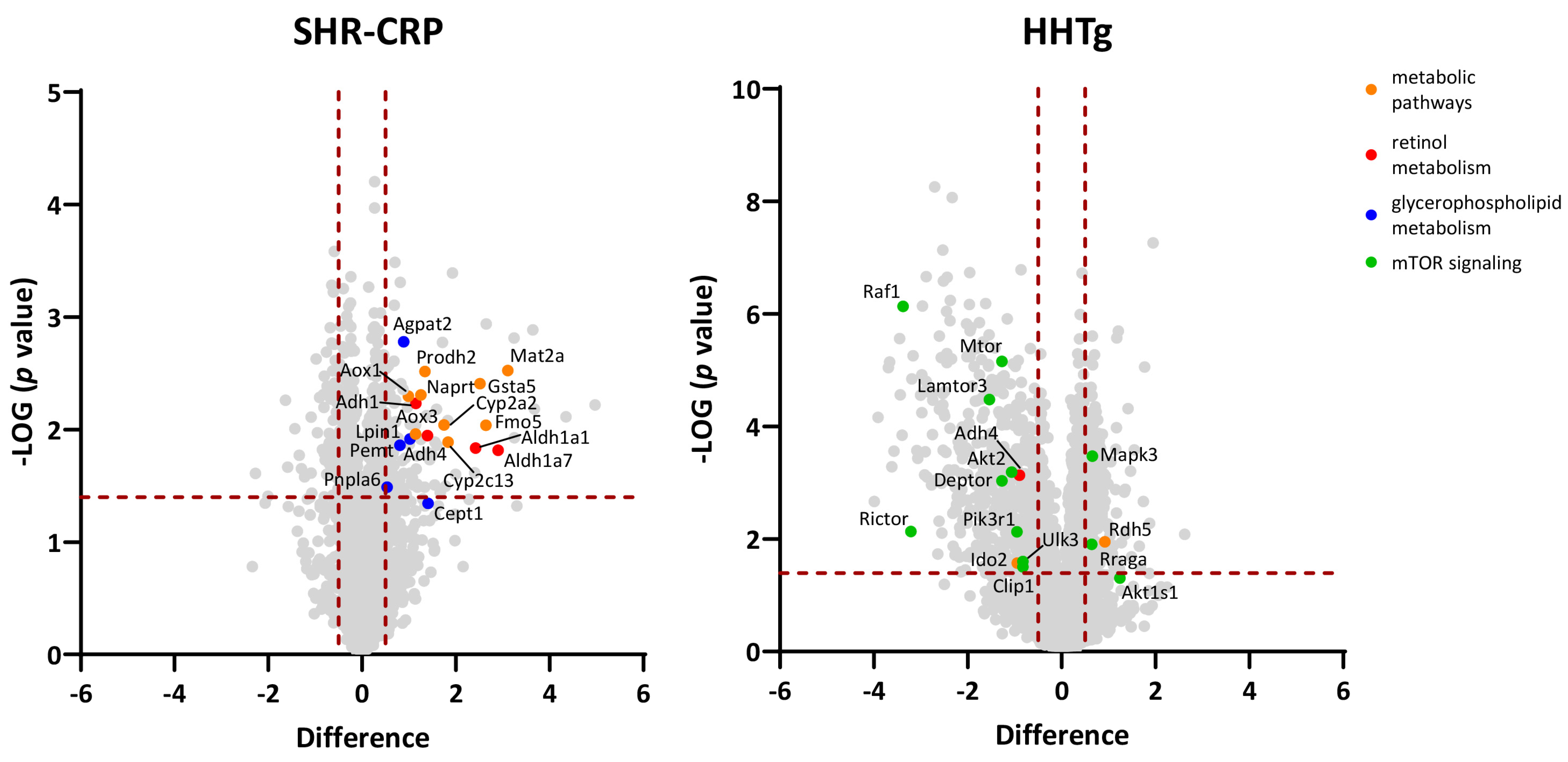 Metabolites 13 00192 g004