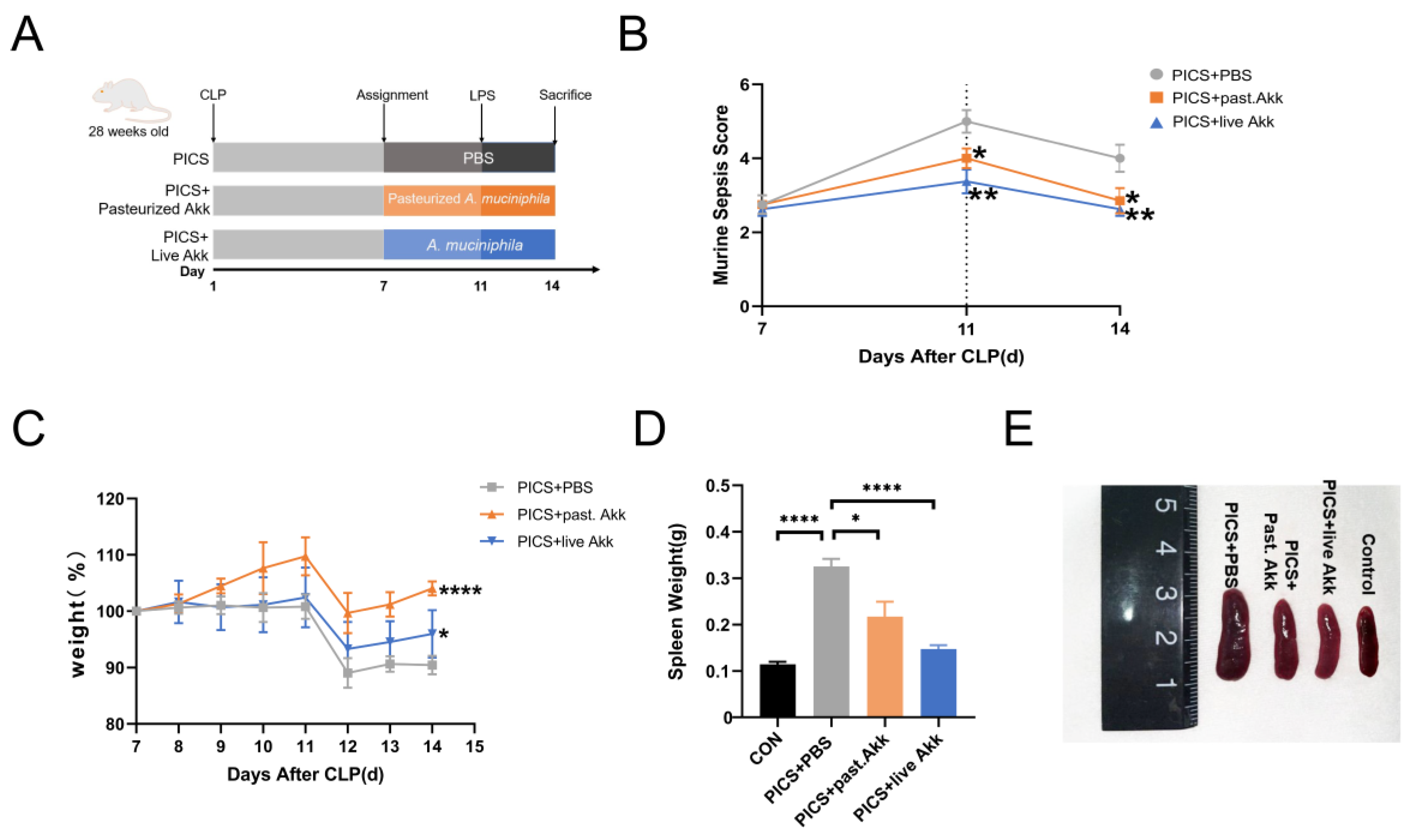 Metabolites 13 00194 g001 Metabolites 13 00194 g001