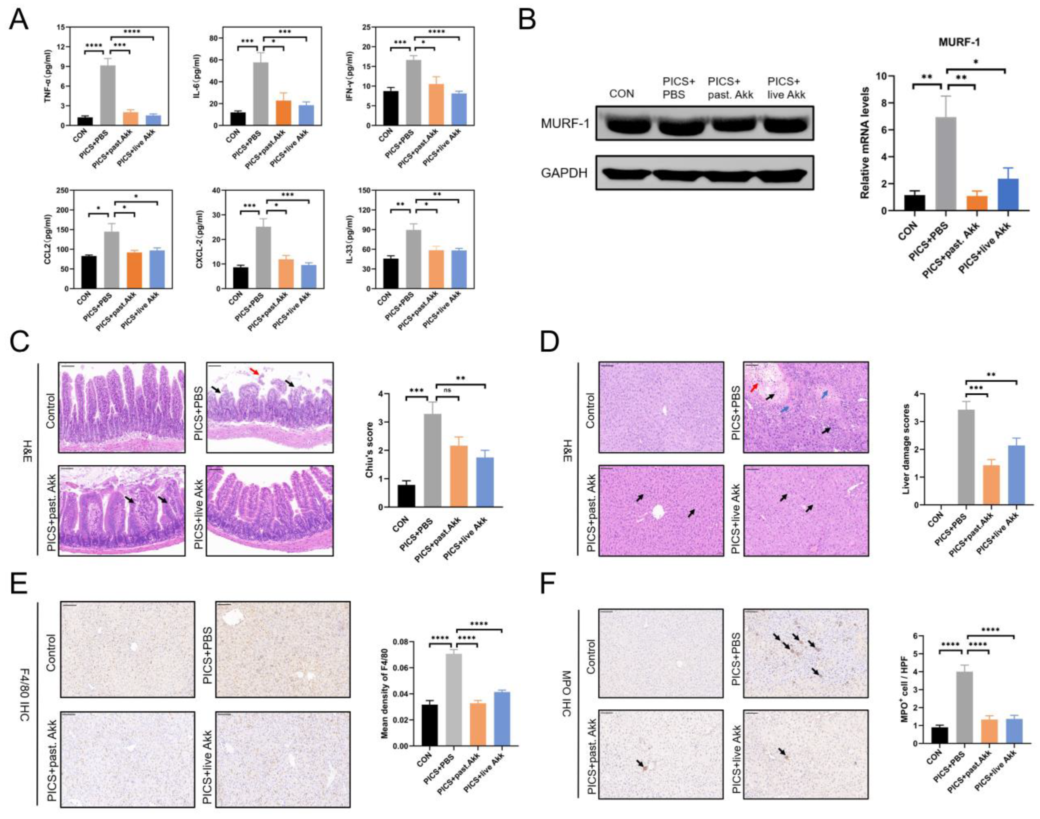 Metabolites 13 00194 g002 Metabolites 13 00194 g002