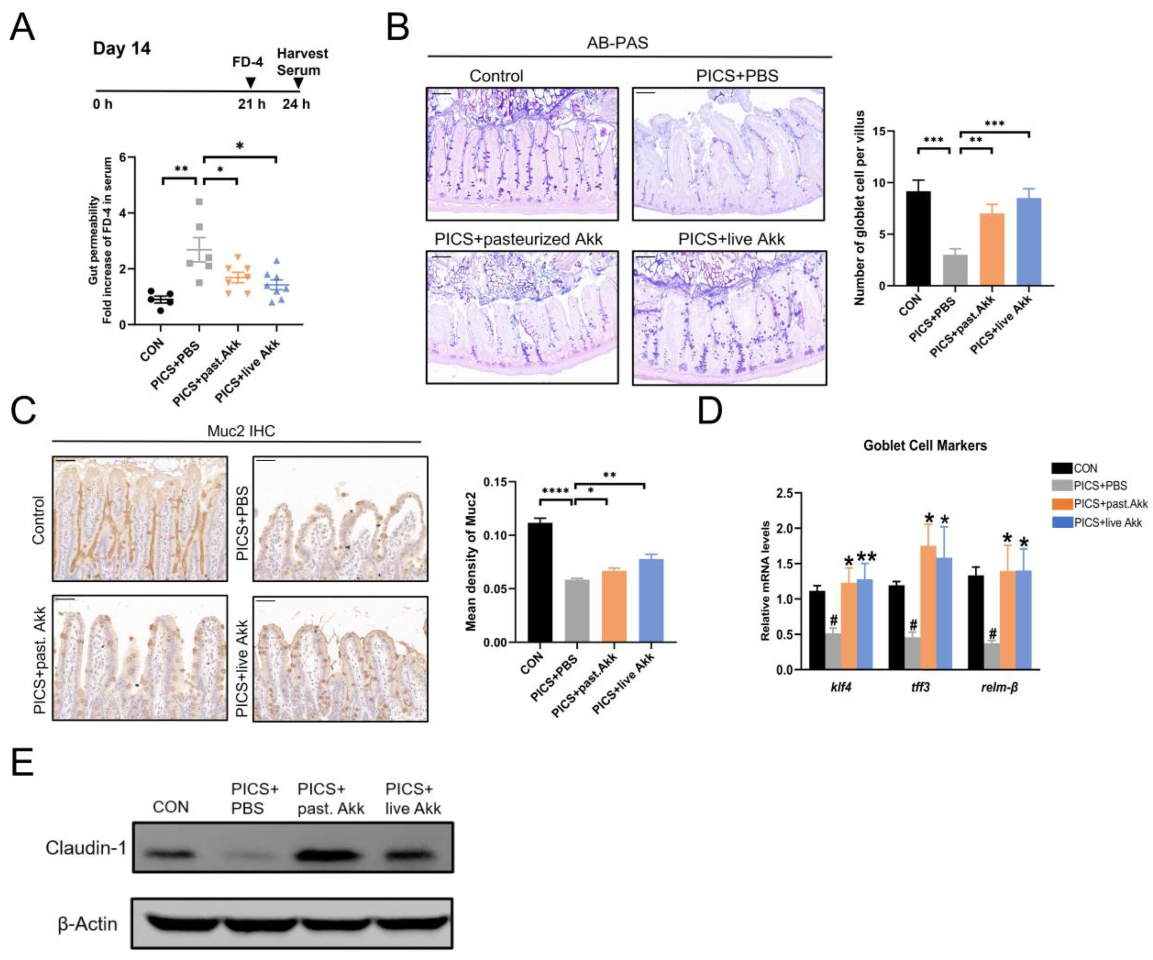 Metabolites 13 00194 g003 Metabolites 13 00194 g003