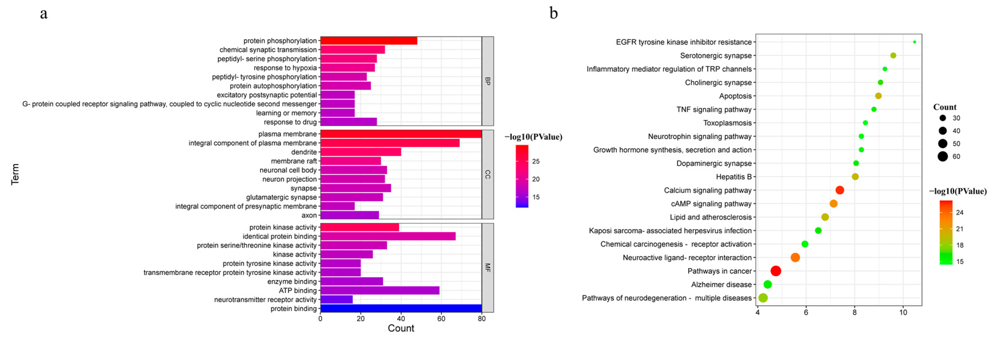 Metabolites 13 00195 g003 Metabolites 13 00195 g003