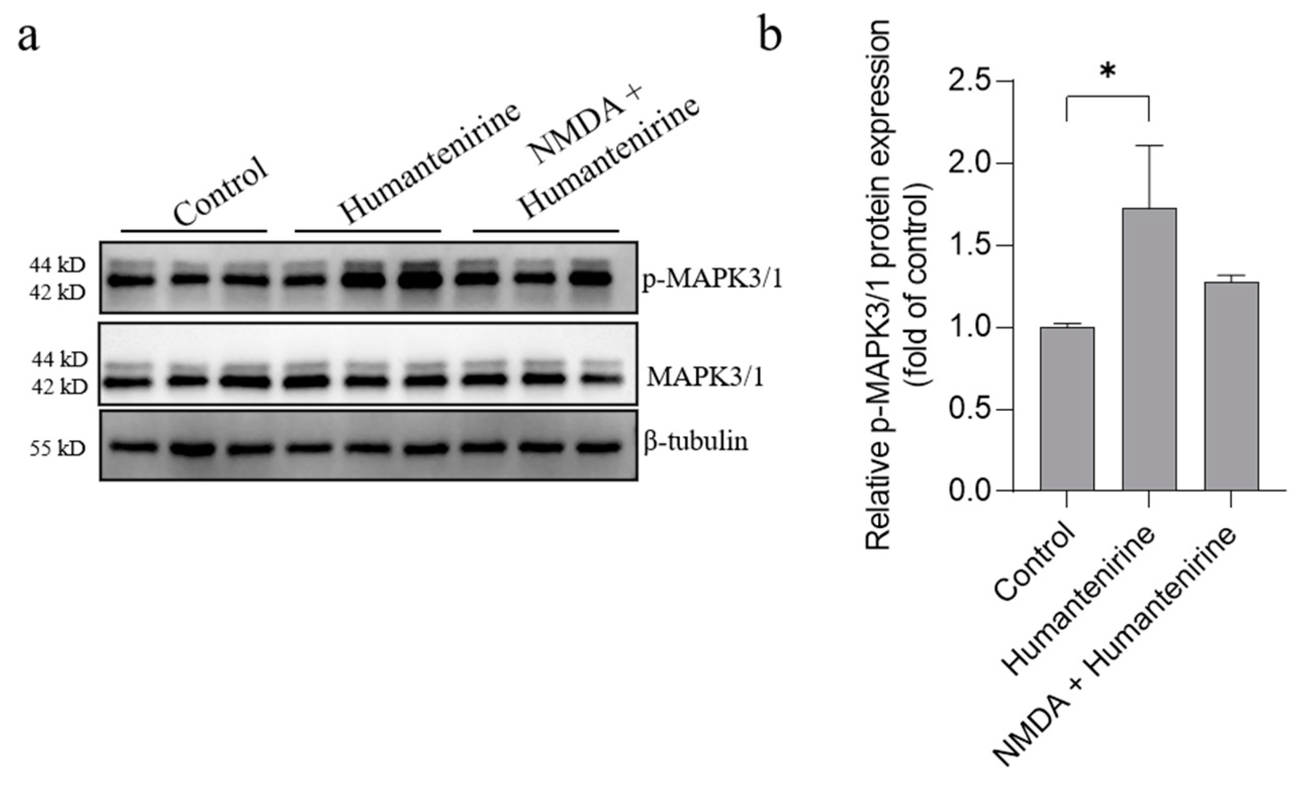 Metabolites 13 00195 g009 Metabolites 13 00195 g009