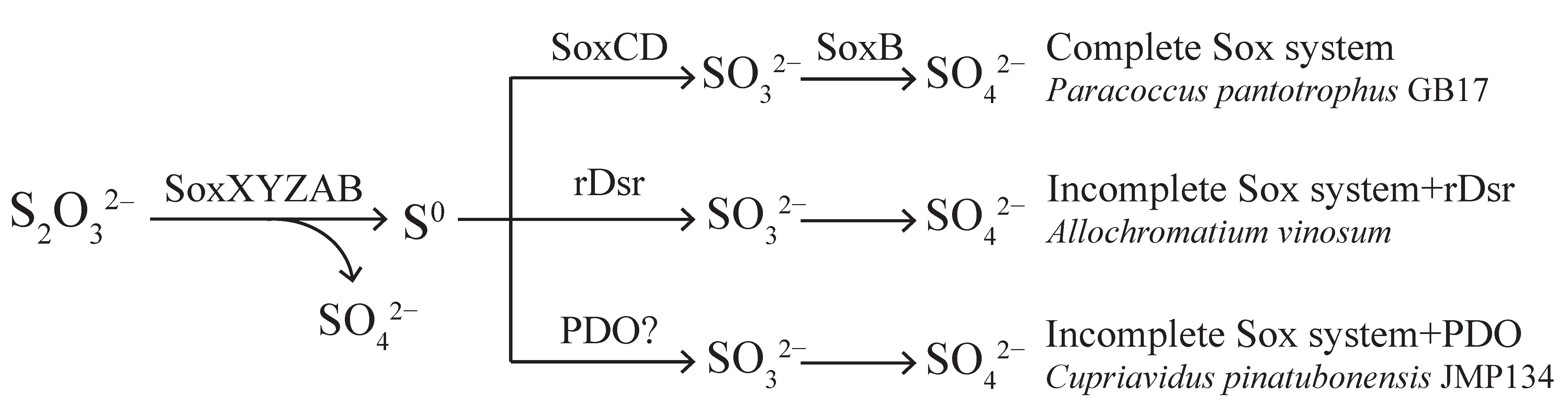 Metabolites 13 00218 g001 Metabolites 13 00218 g001