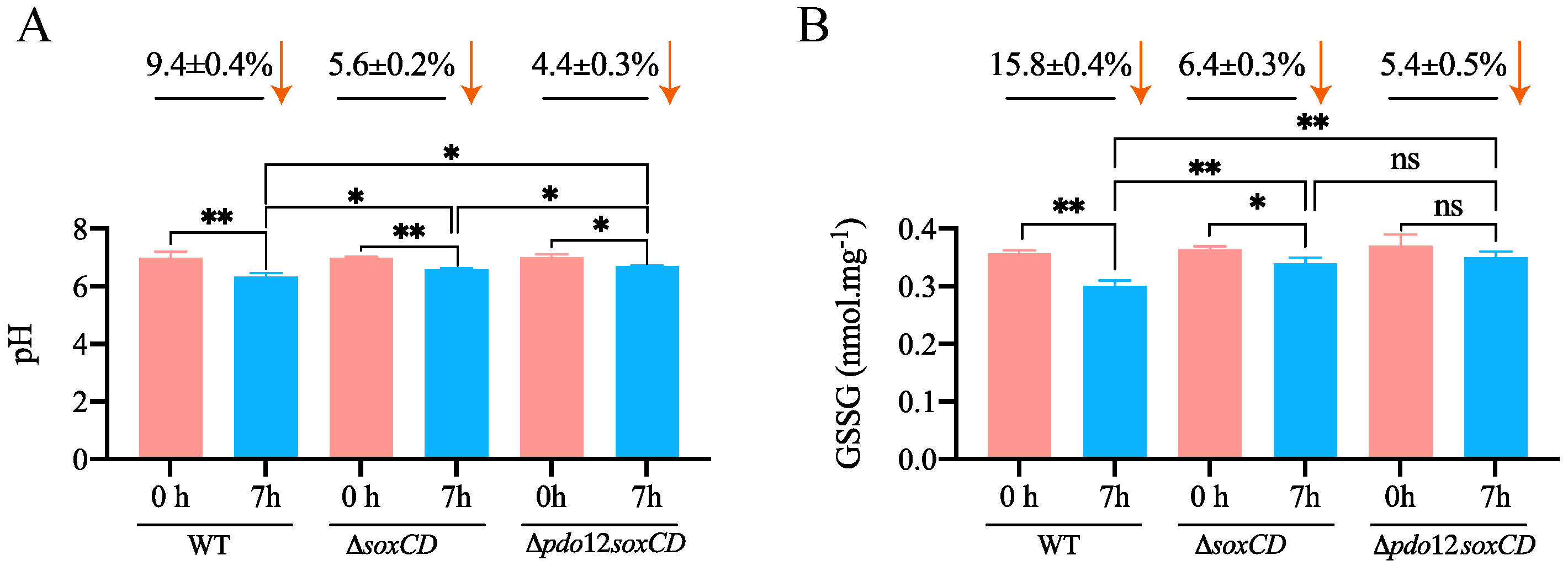 Metabolites 13 00218 g003 Metabolites 13 00218 g003