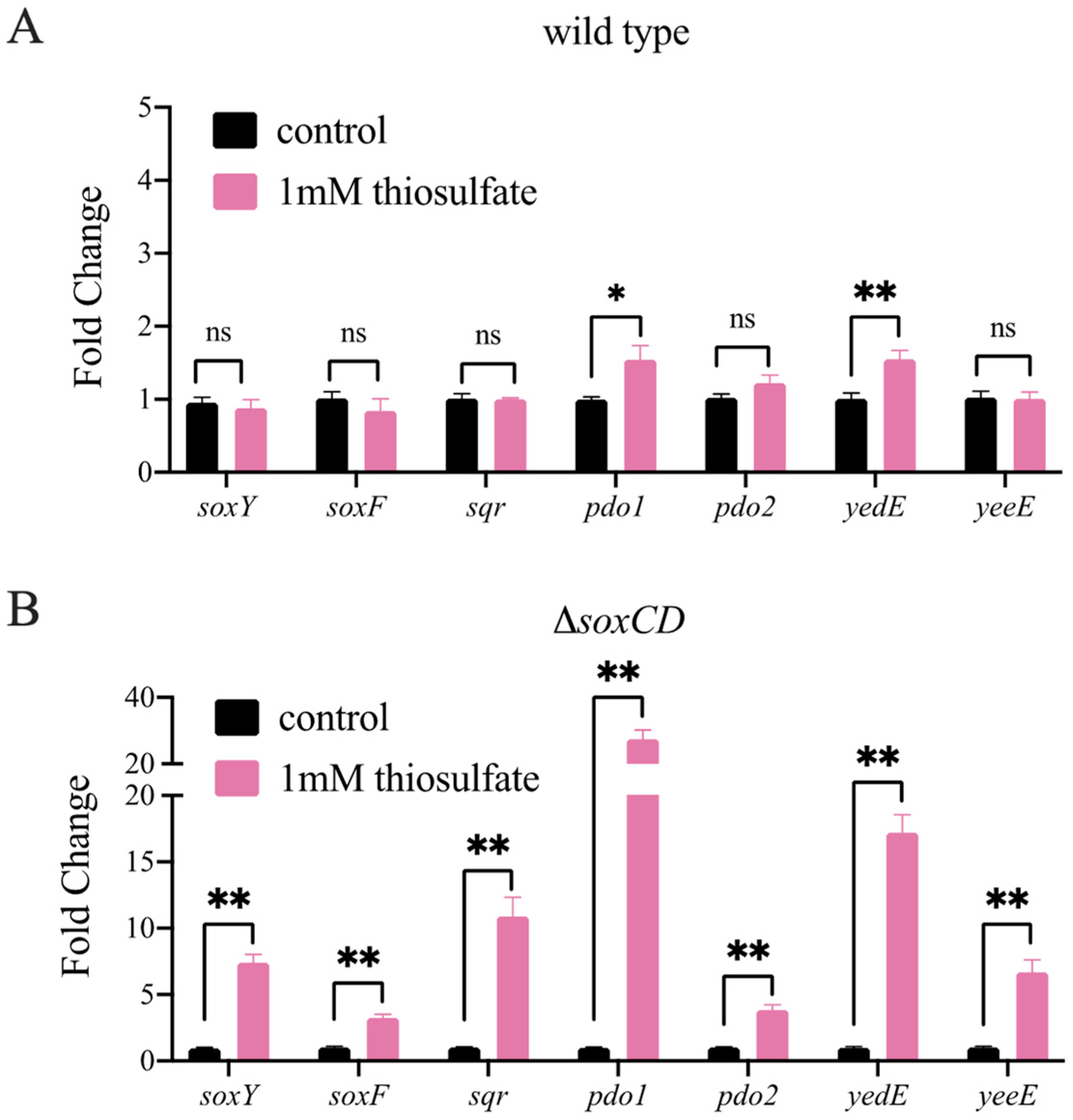 Metabolites 13 00218 g004 Metabolites 13 00218 g004