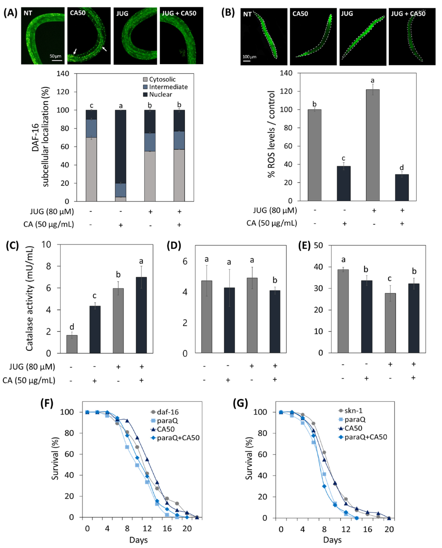 Metabolites 13 00224 g005 Metabolites 13 00224 g005