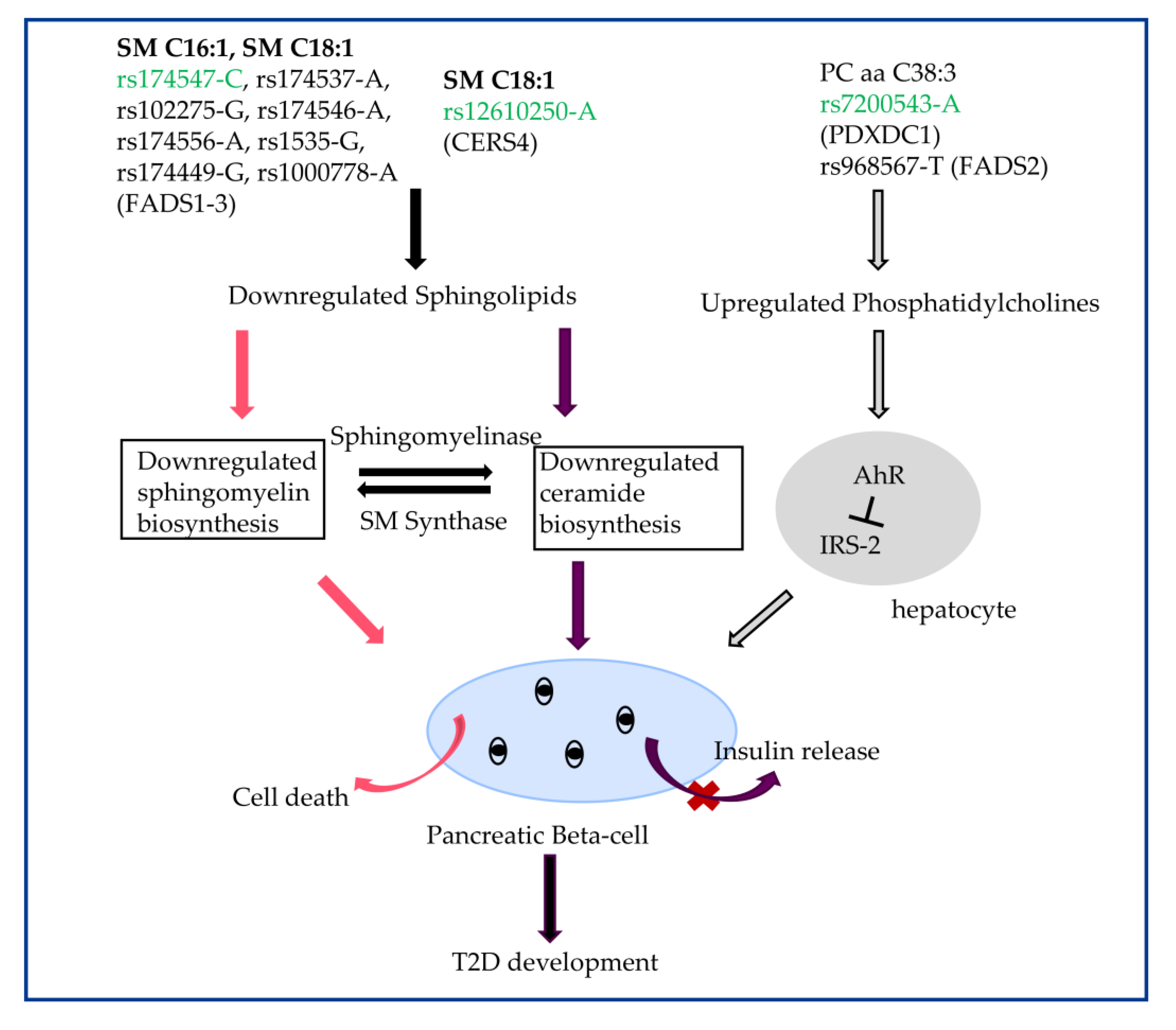 Metabolites 13 00227 g007 Metabolites 13 00227 g007