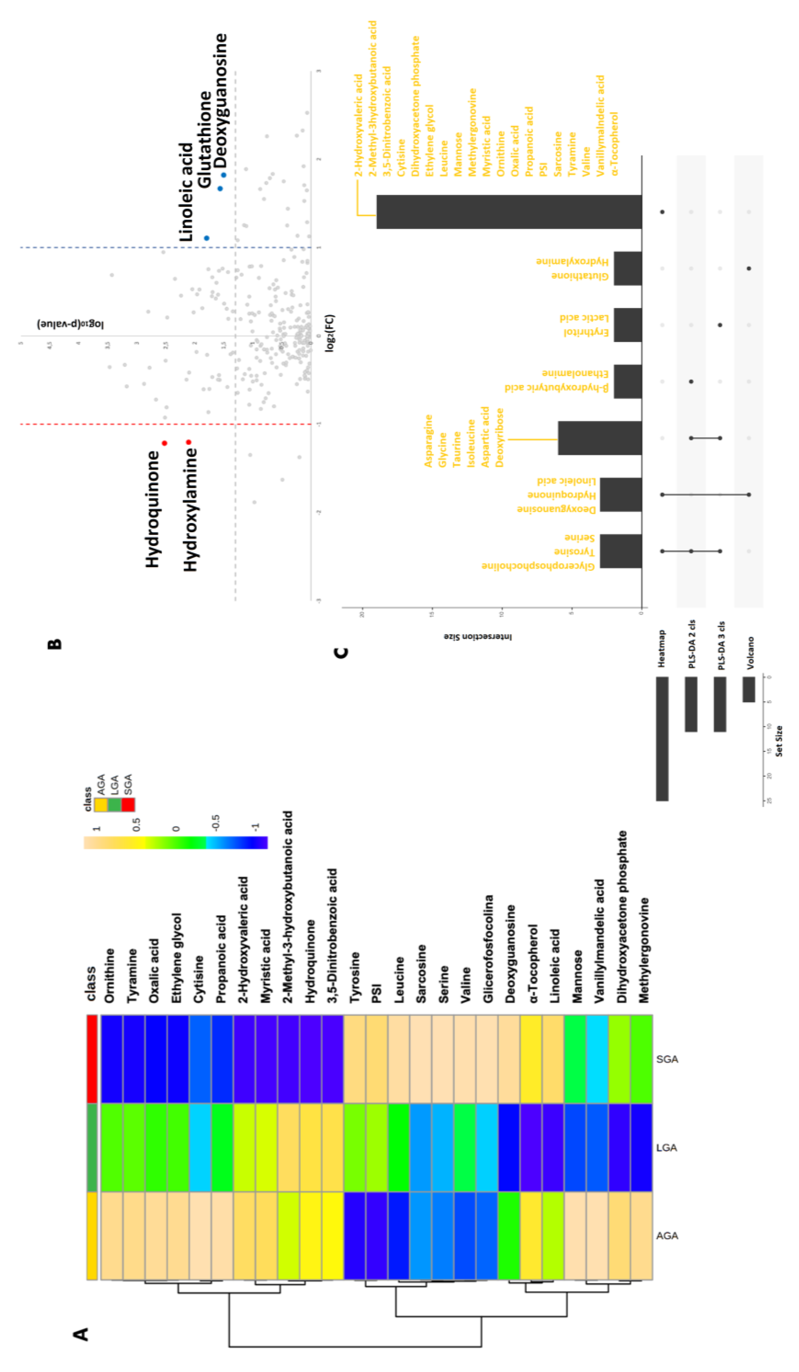 Metabolites 13 00235 g002 Metabolites 13 00235 g002