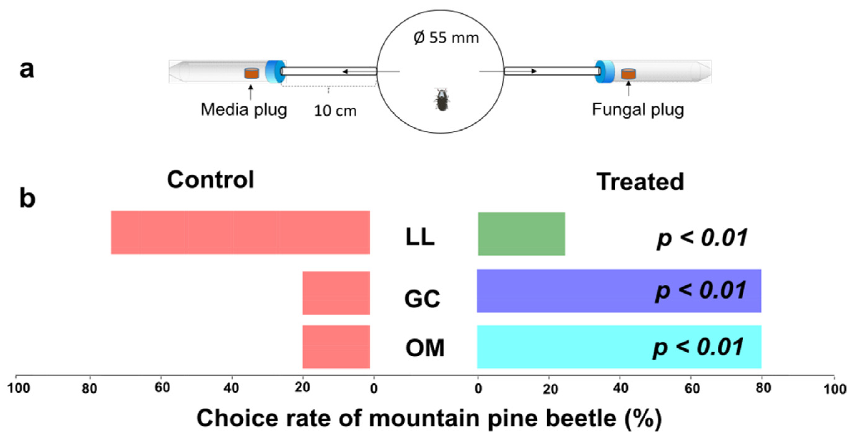 Metabolites 13 00239 g007 Metabolites 13 00239 g007