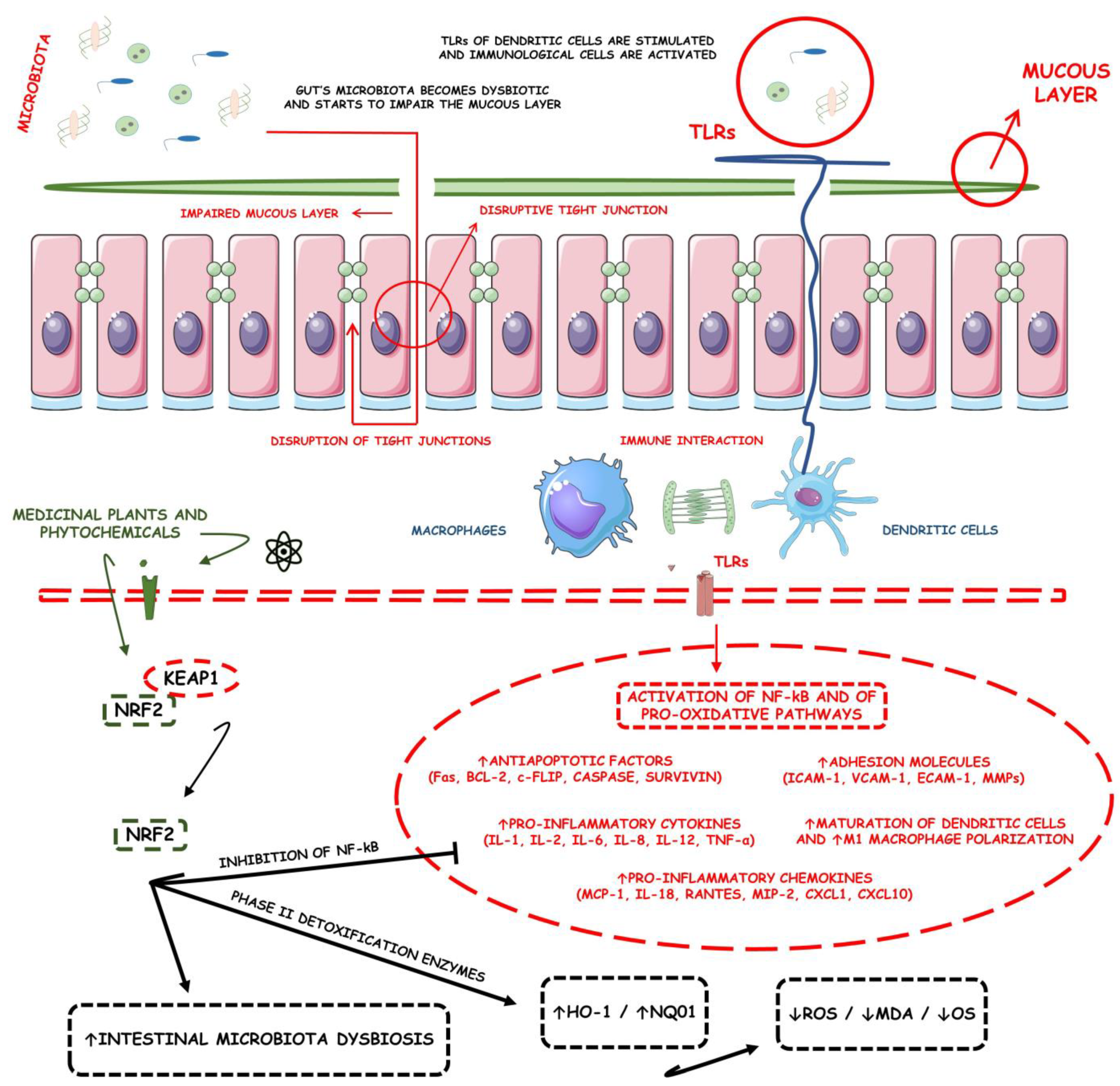 Metabolites 13 00243 g001 Metabolites 13 00243 g001