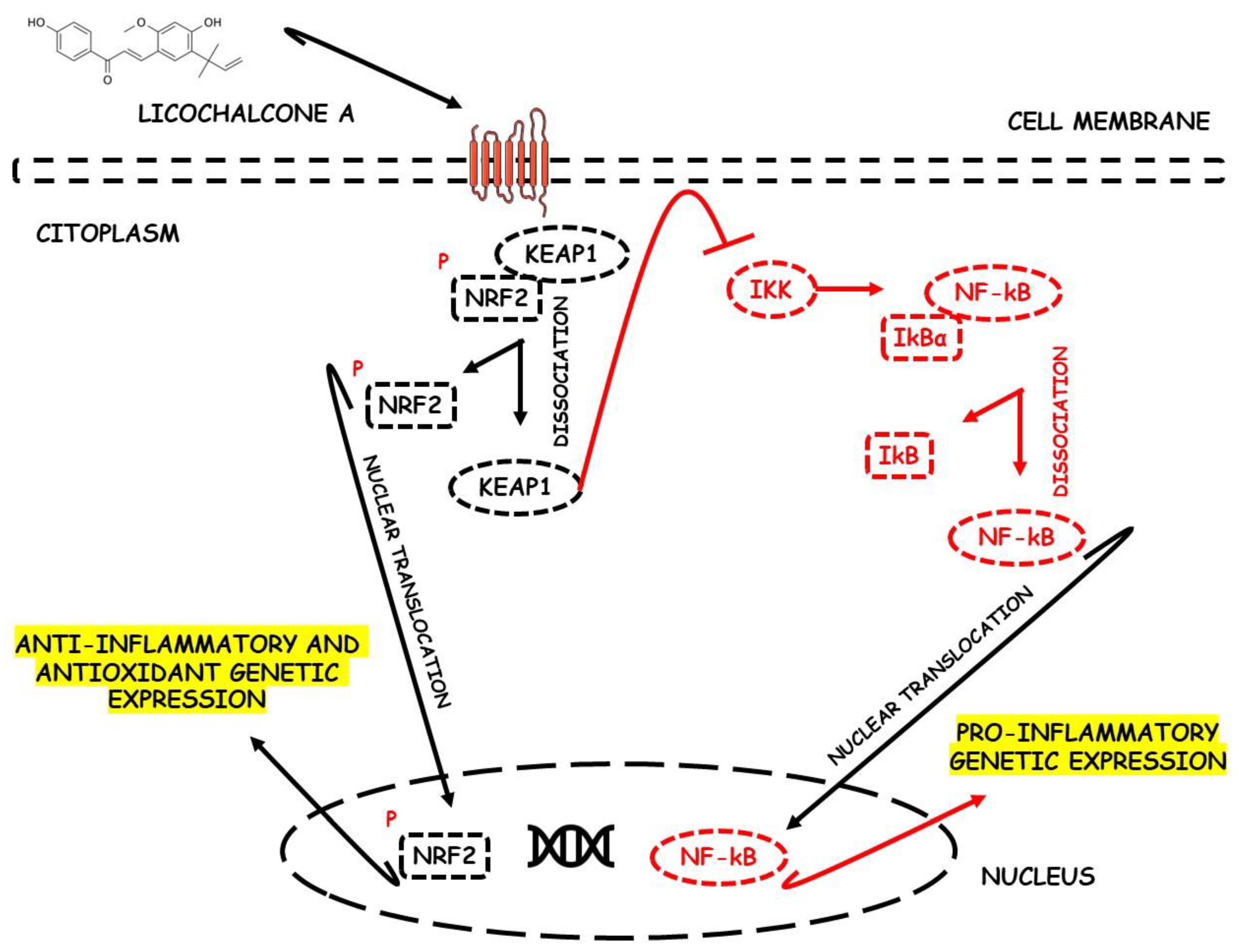 Metabolites 13 00243 g002 Metabolites 13 00243 g002