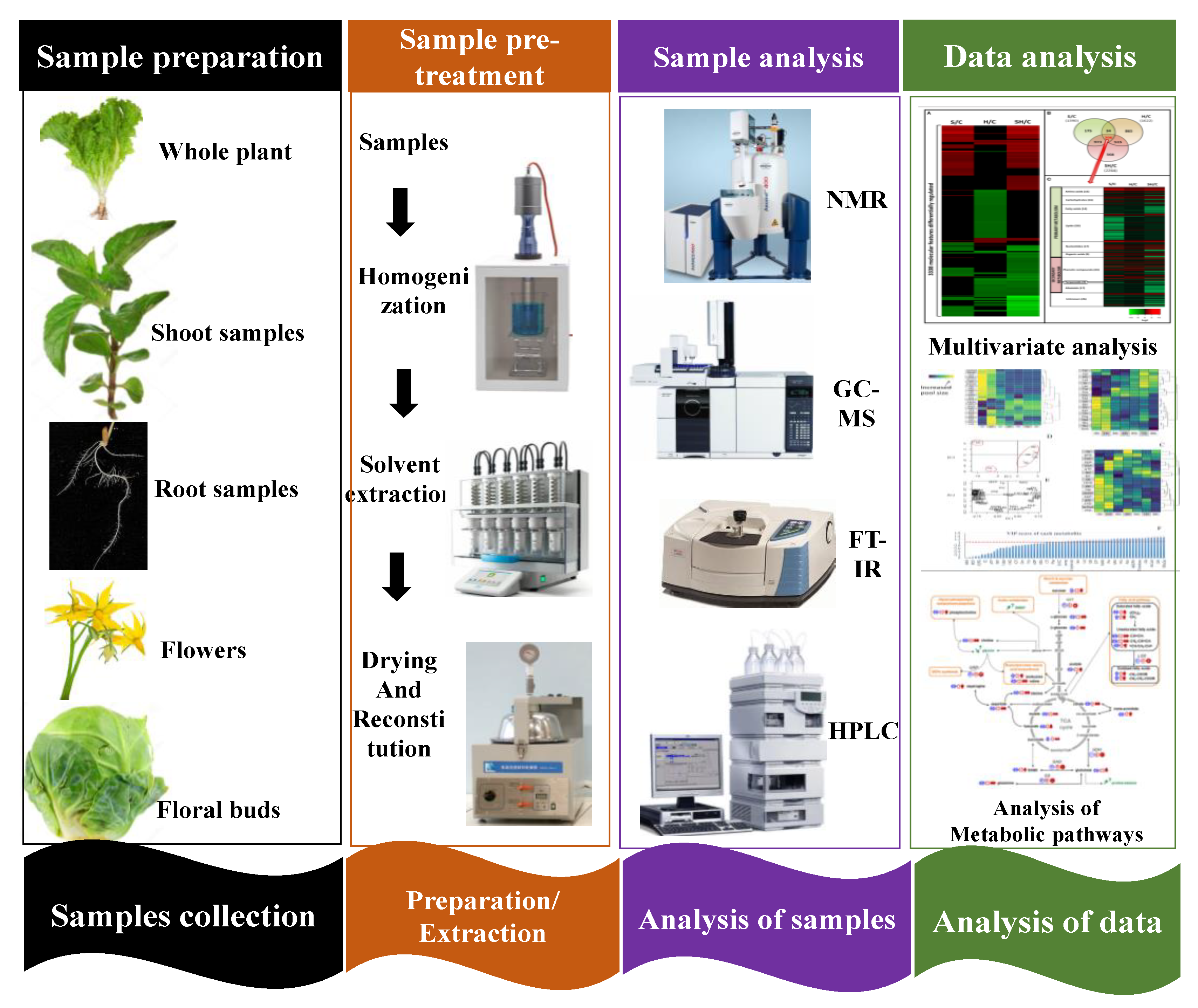 Metabolites 13 00246 g002