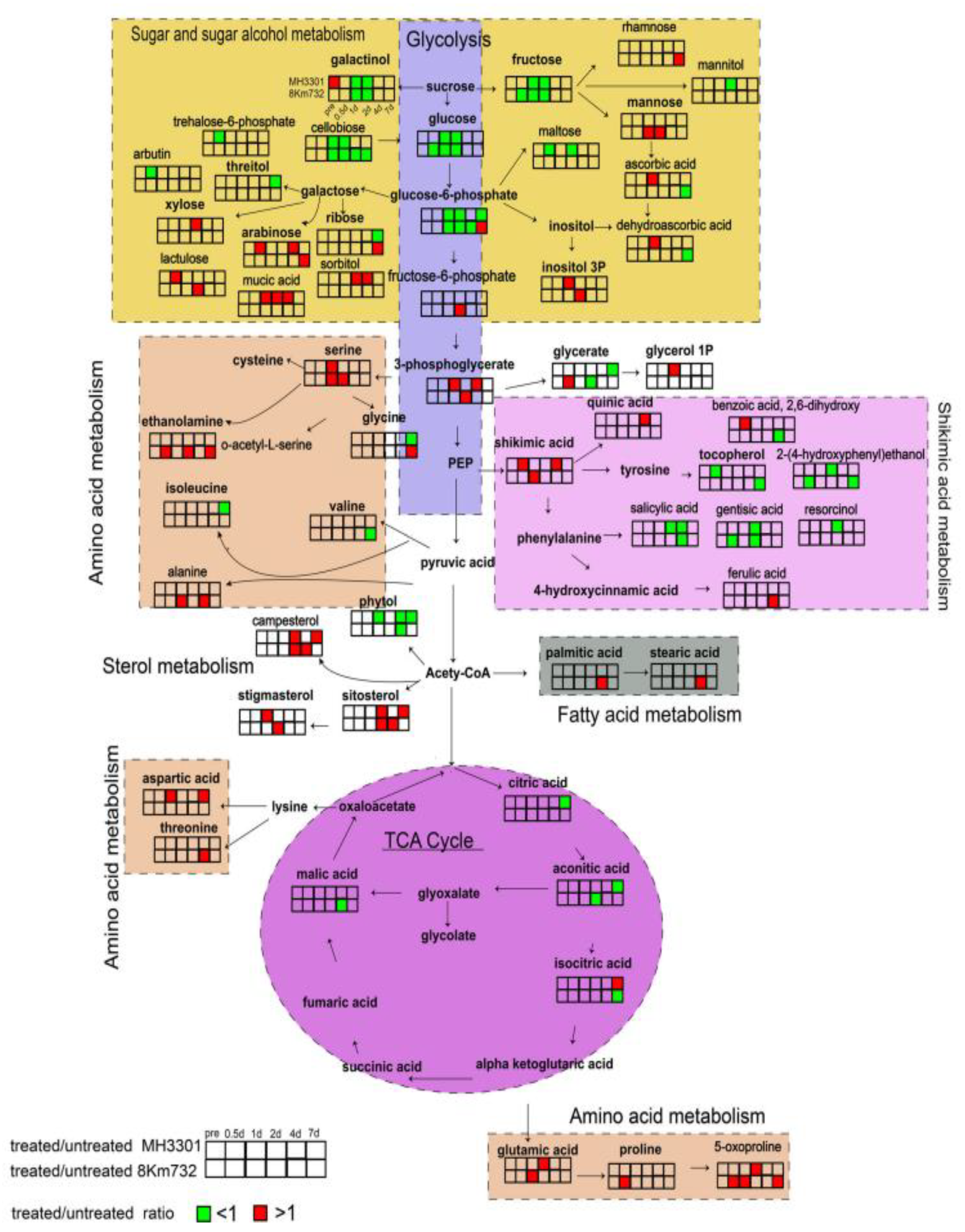 Metabolites 13 00246 g003