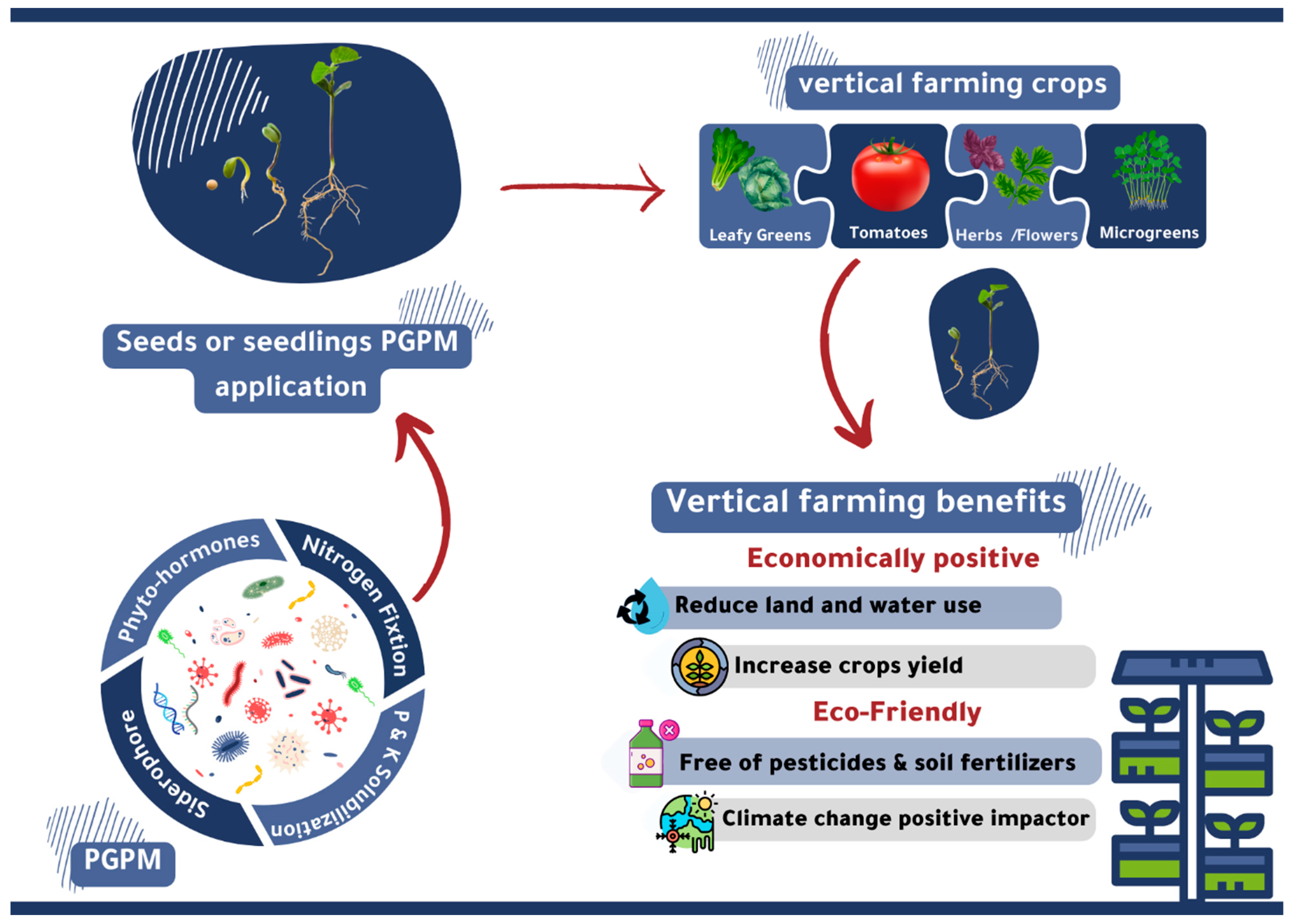 Metabolites 13 00247 g001