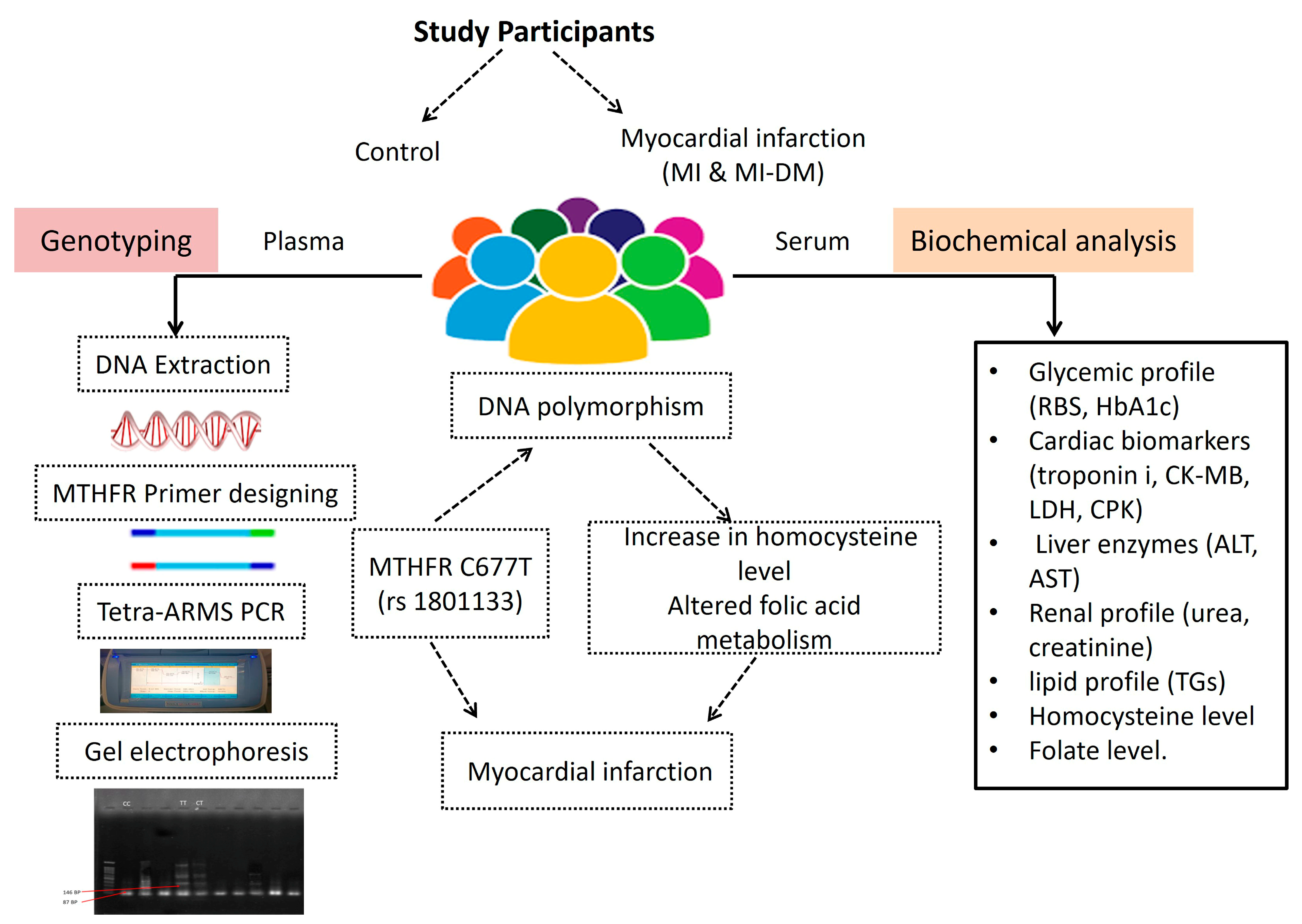 Metabolites 13 00251 g003 Metabolites 13 00251 g003