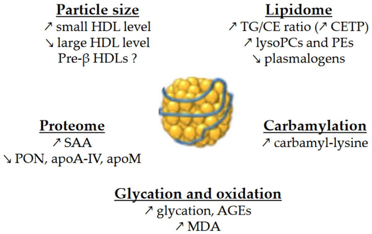 Metabolites 13 00253 g001 Metabolites 13 00253 g001