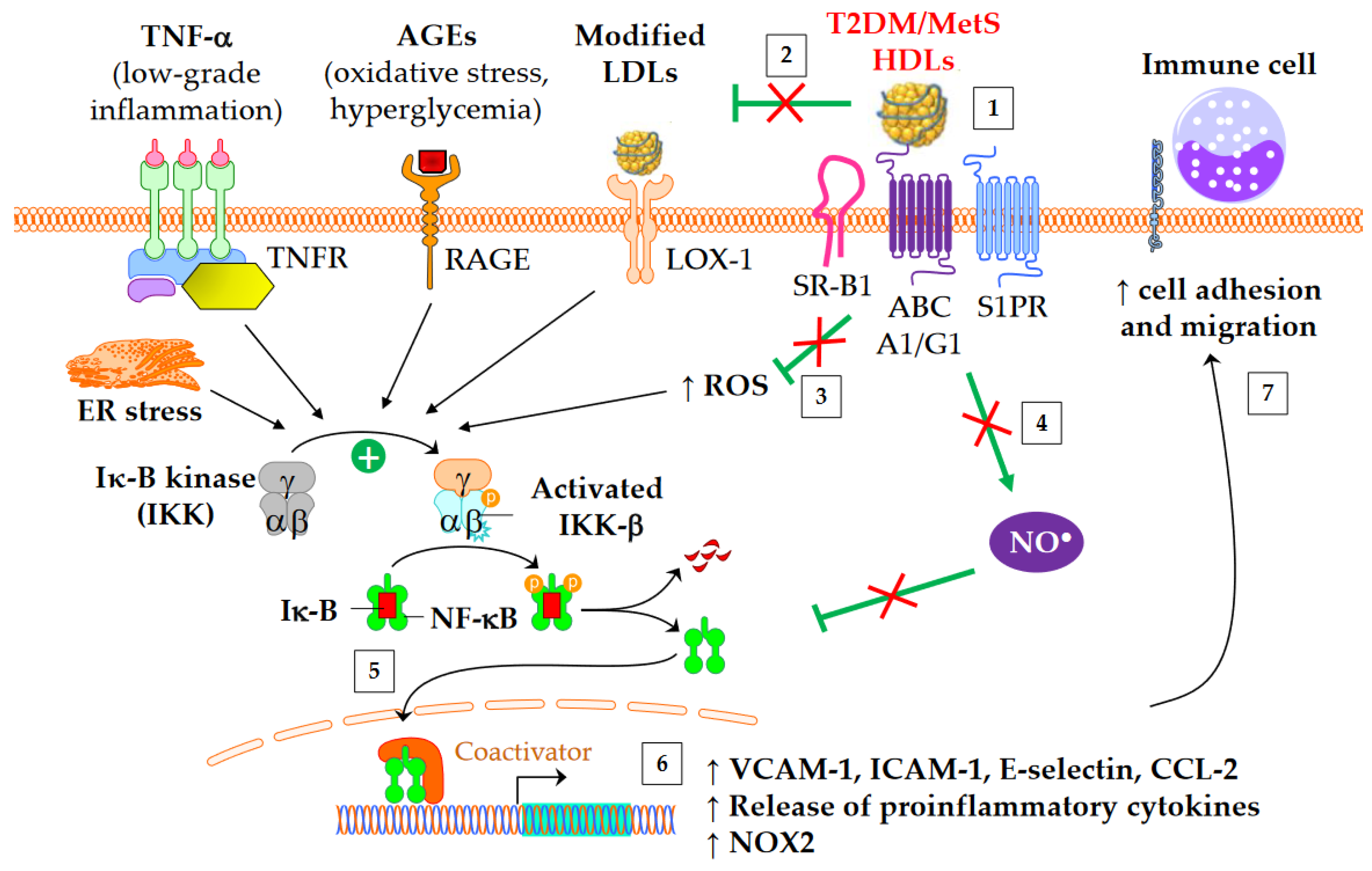 Metabolites 13 00253 g003 Metabolites 13 00253 g003