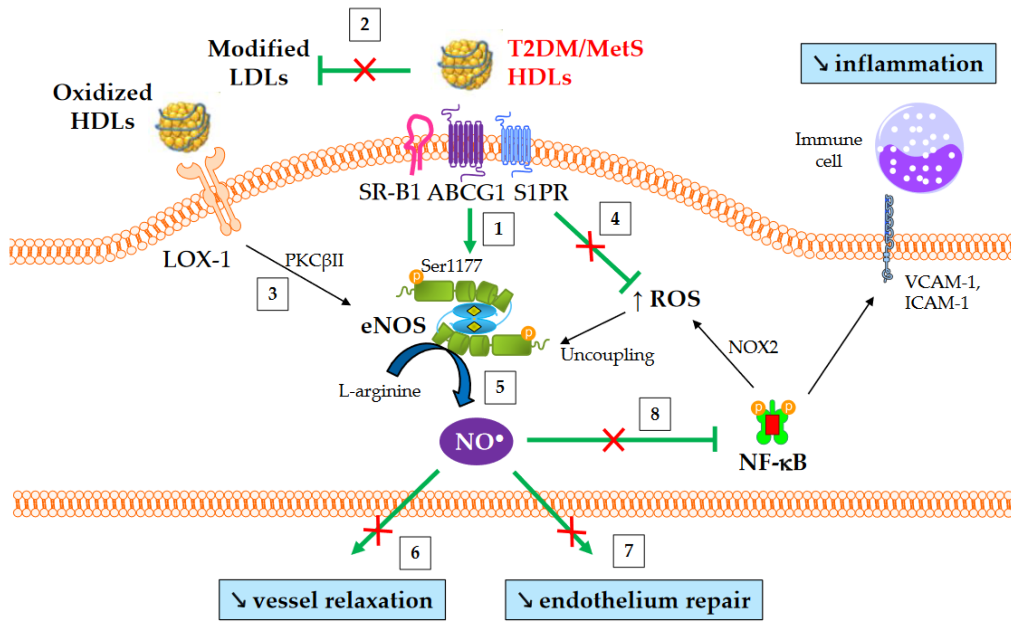 Metabolites 13 00253 g004 Metabolites 13 00253 g004