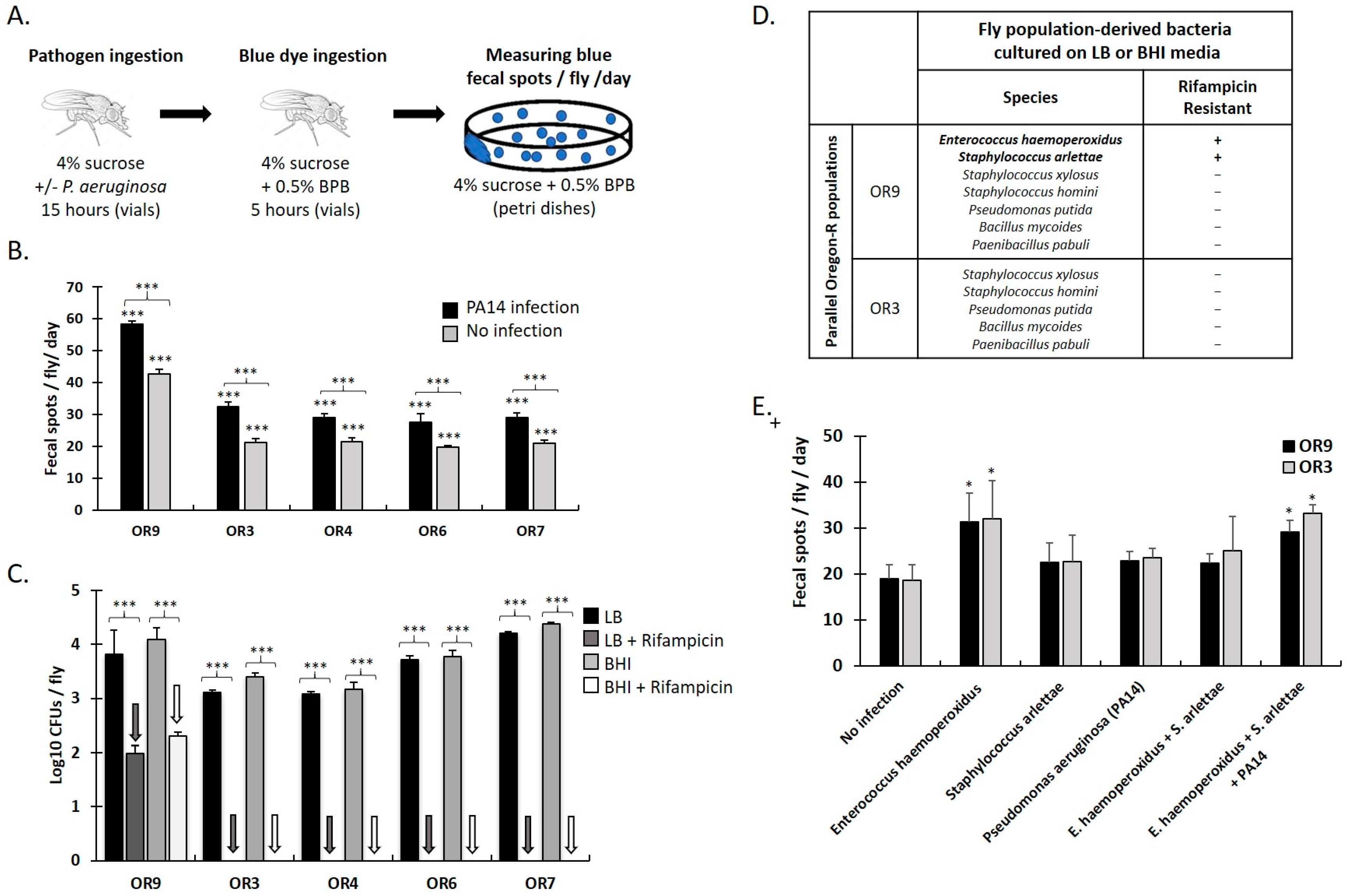 Metabolites 13 00264 g001 Metabolites 13 00264 g001