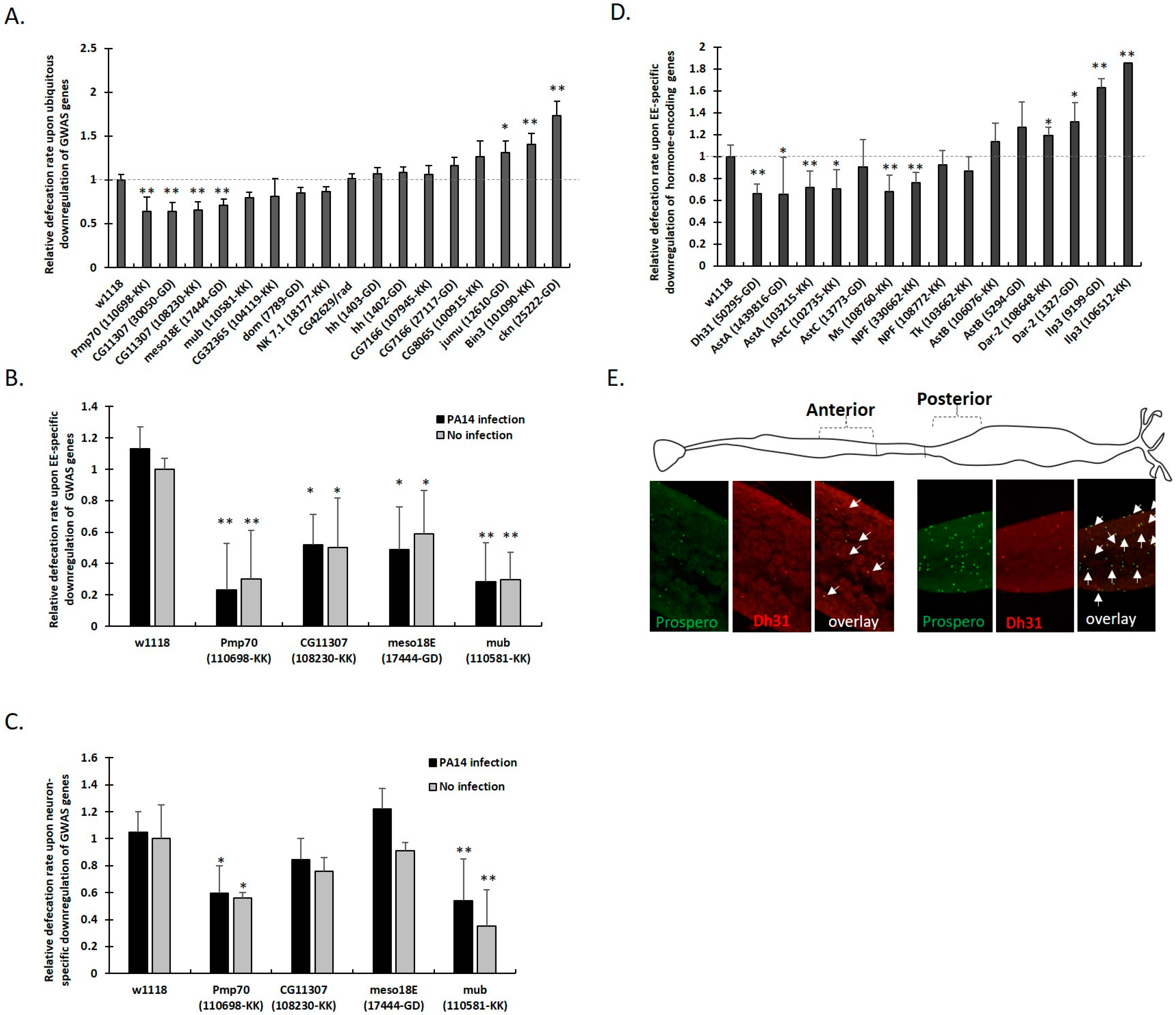 Metabolites 13 00264 g004 Metabolites 13 00264 g004