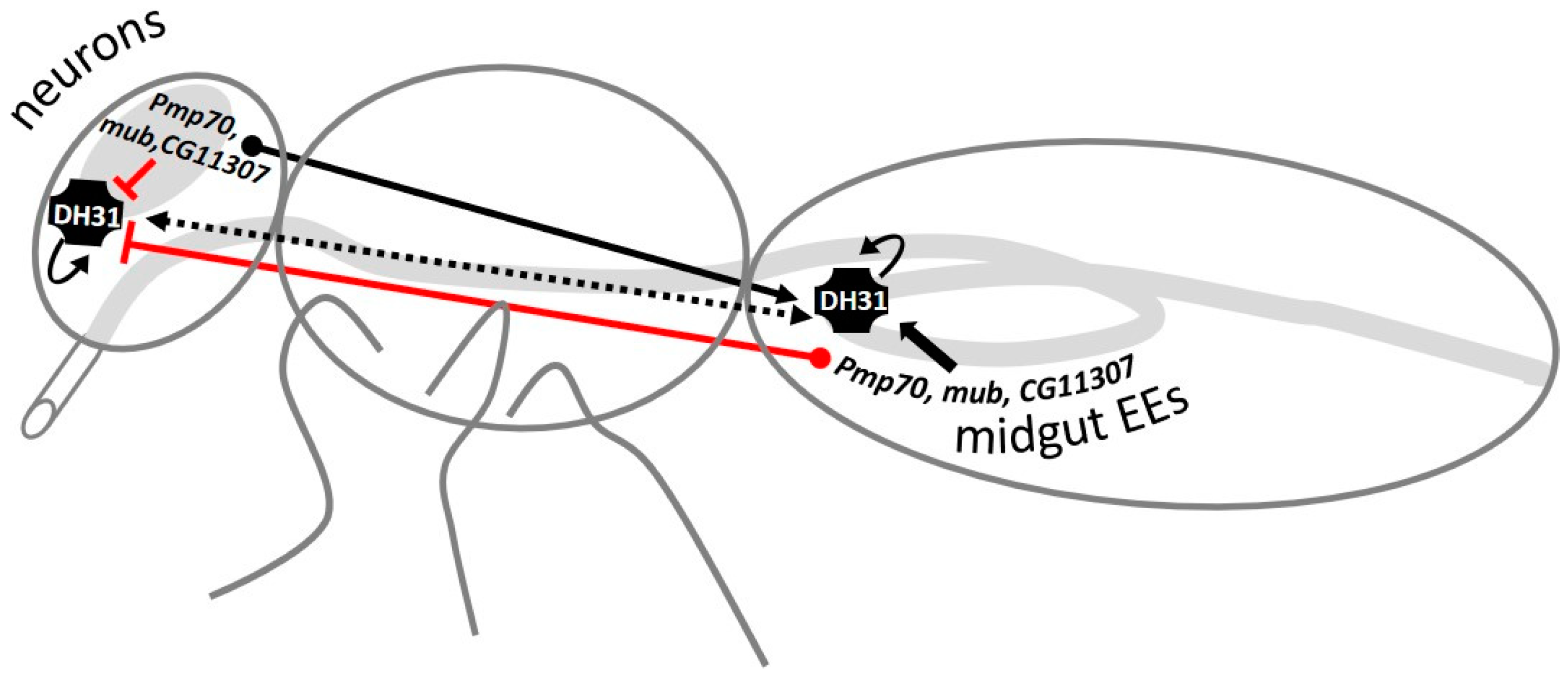Metabolites 13 00264 g010 Metabolites 13 00264 g010