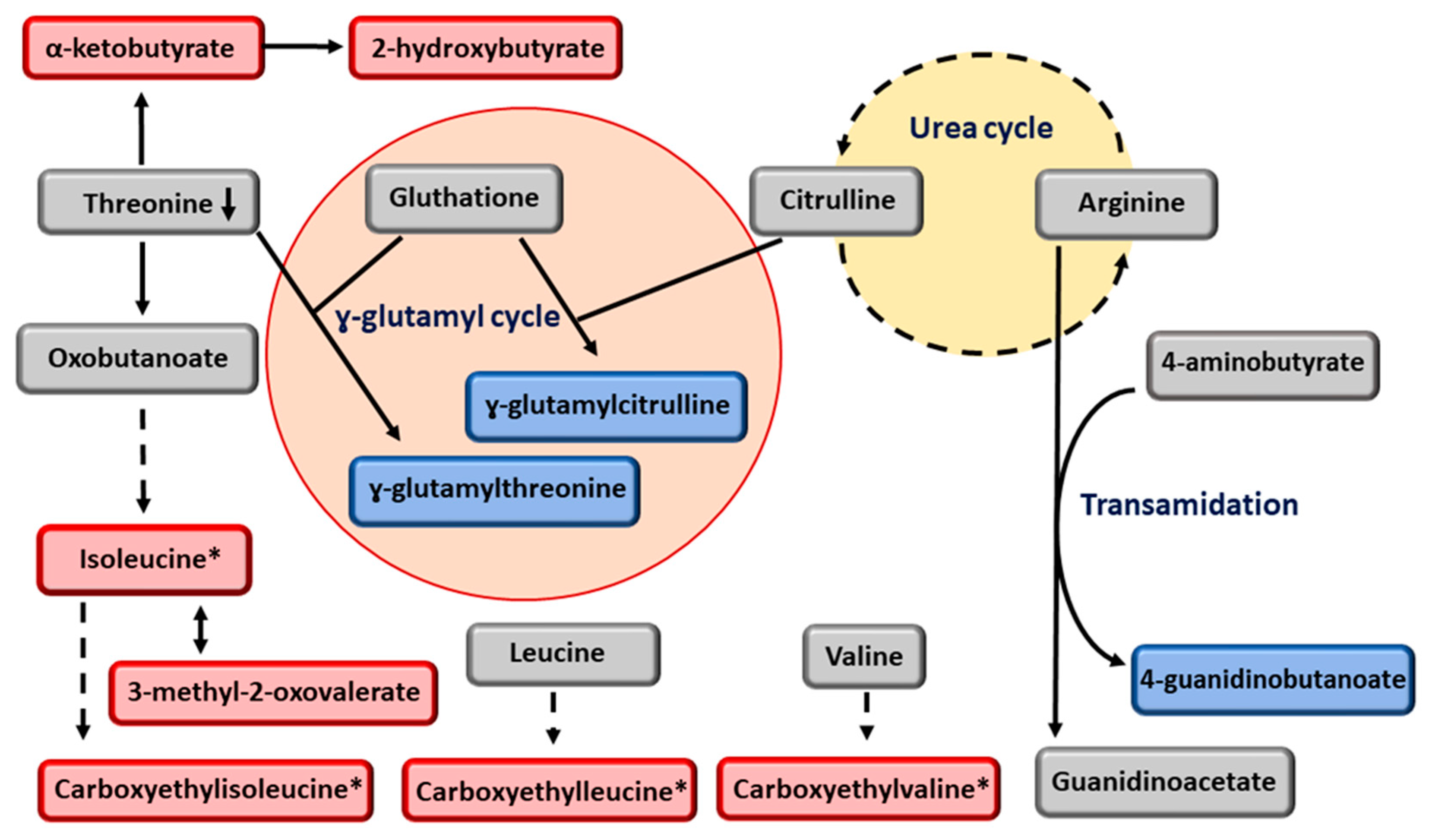 Metabolites 13 00267 g003
