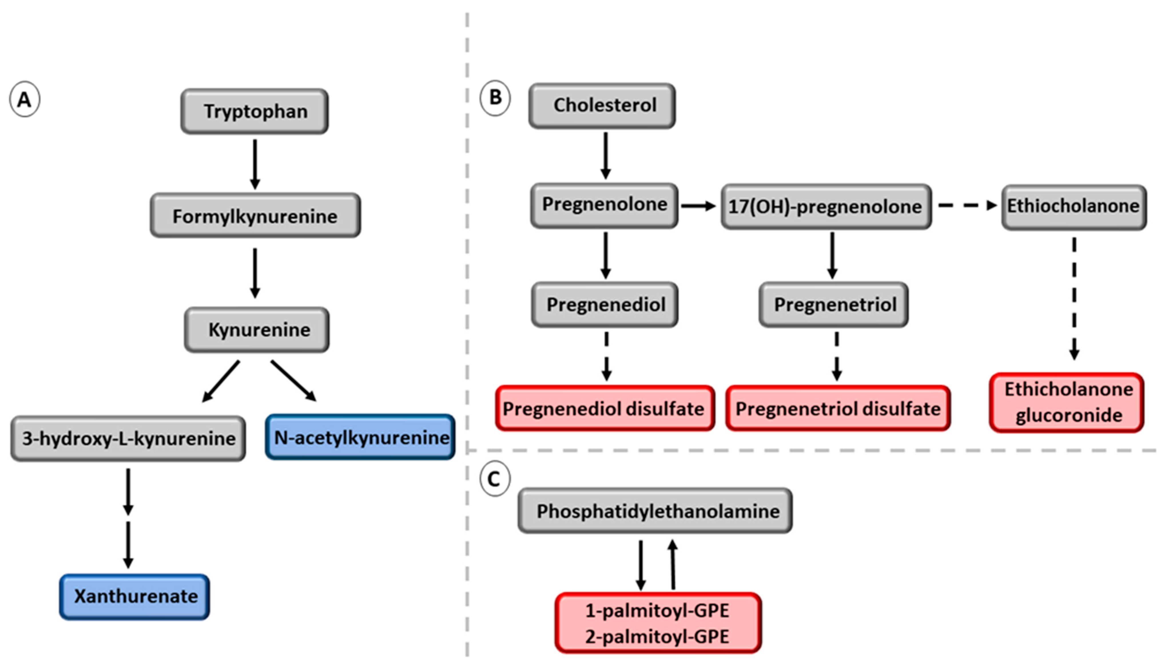 Metabolites 13 00267 g004