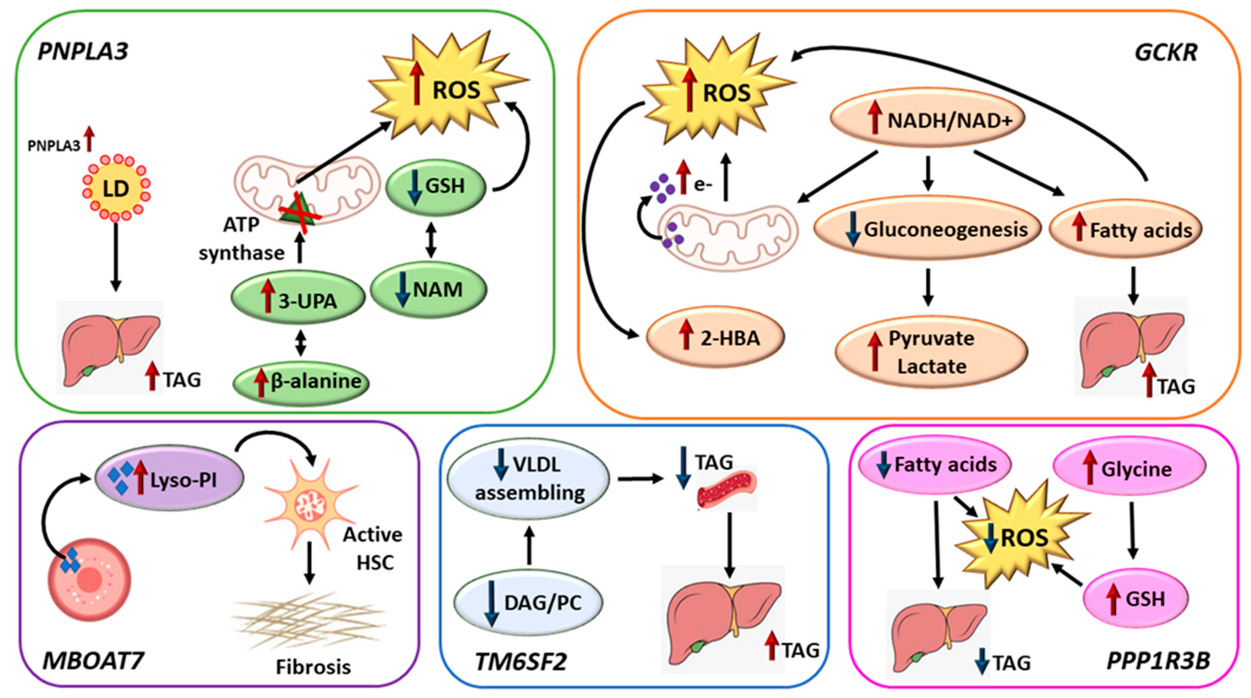 Metabolites 13 00267 g005