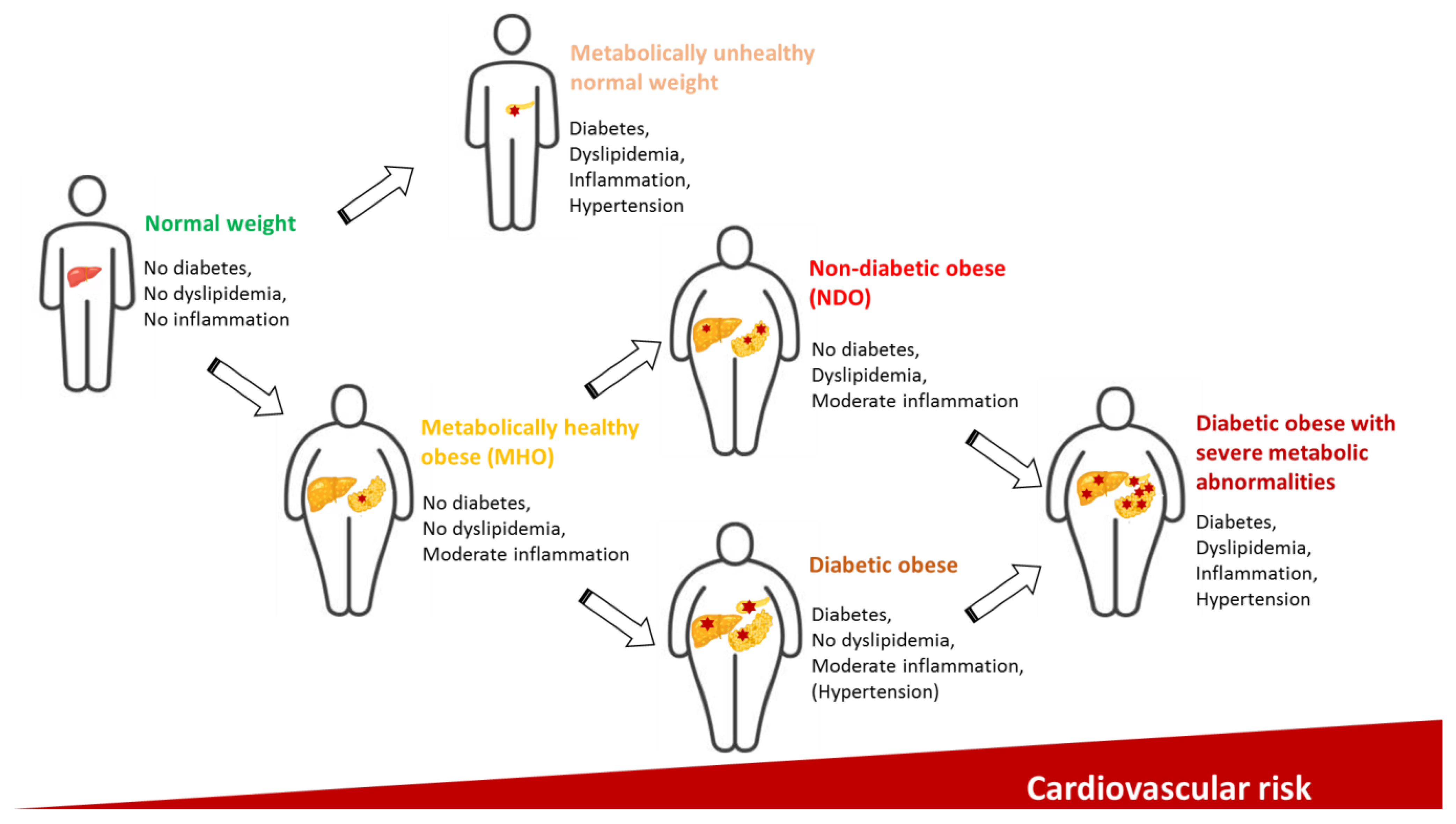 Metabolites 13 00270 g002 Metabolites 13 00270 g002