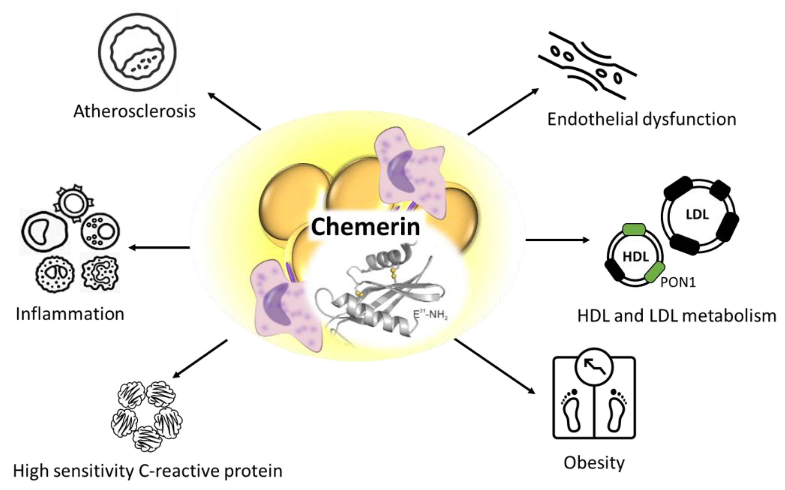 Metabolites 13 00270 g003 Metabolites 13 00270 g003