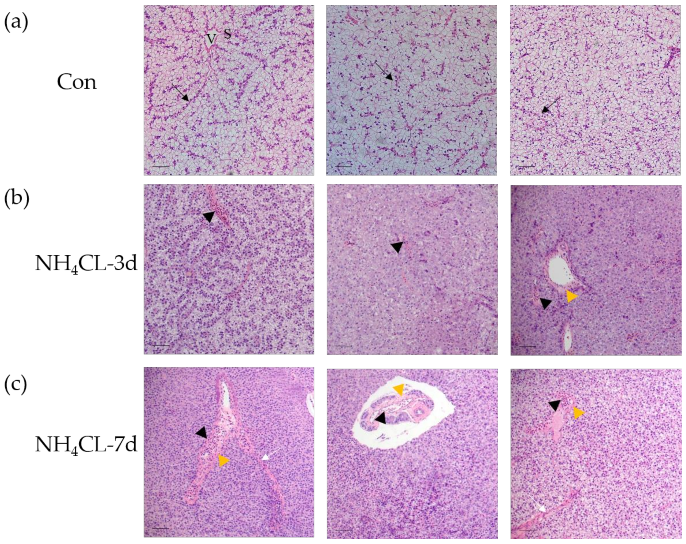 Metabolites 13 00274 g001 Metabolites 13 00274 g001