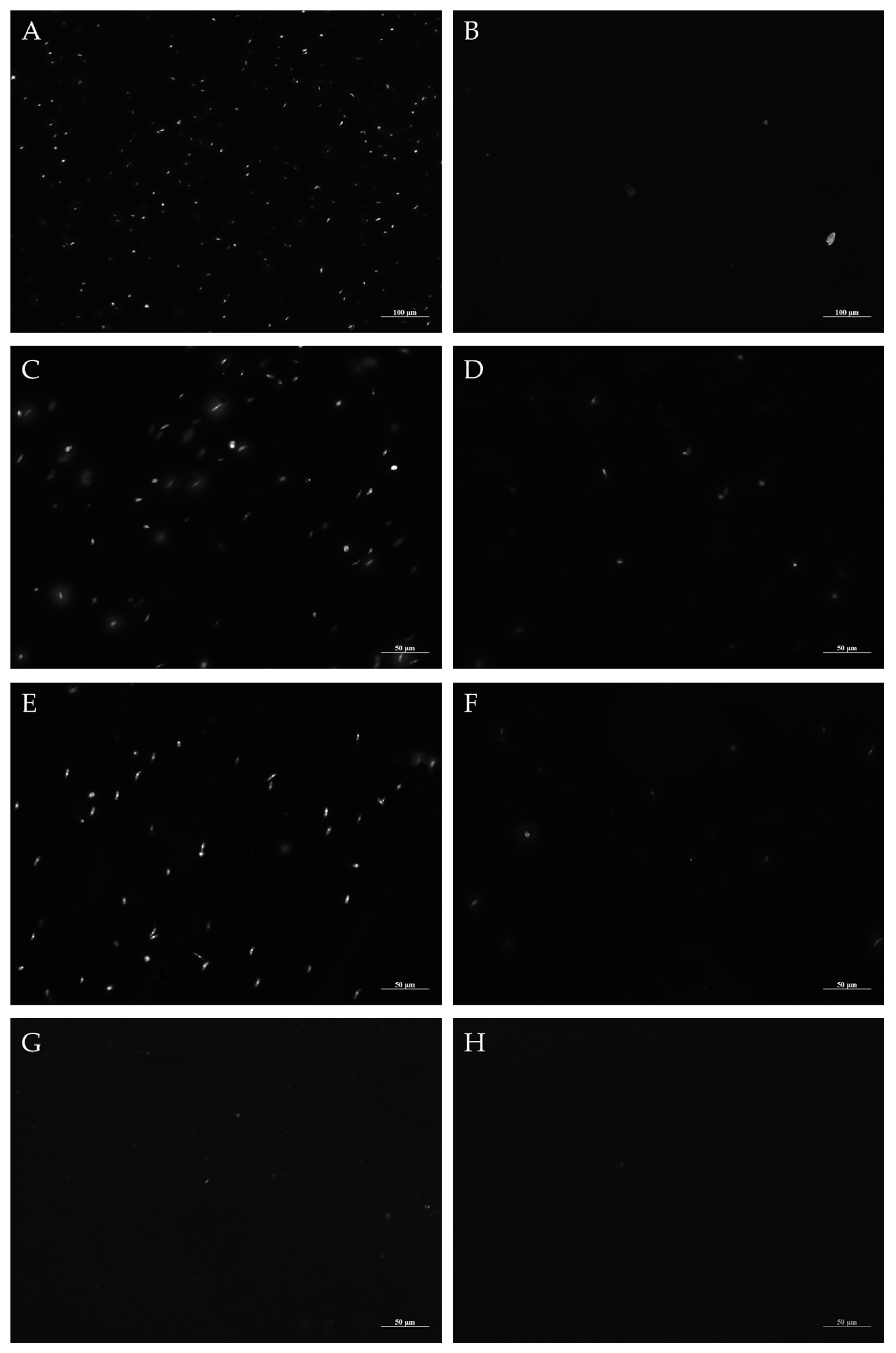 Metabolites 13 00285 g003