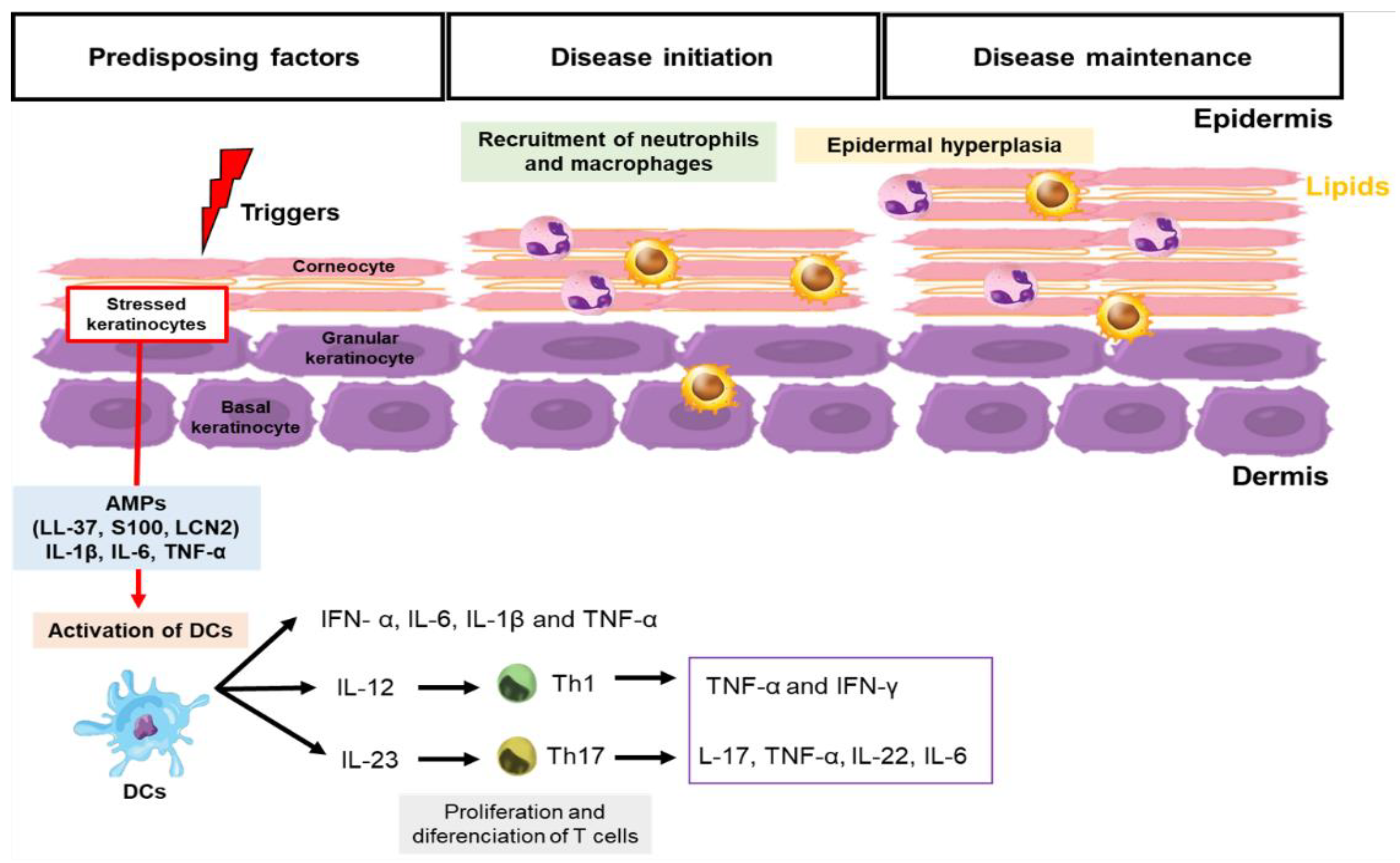 Metabolites 13 00291 g001