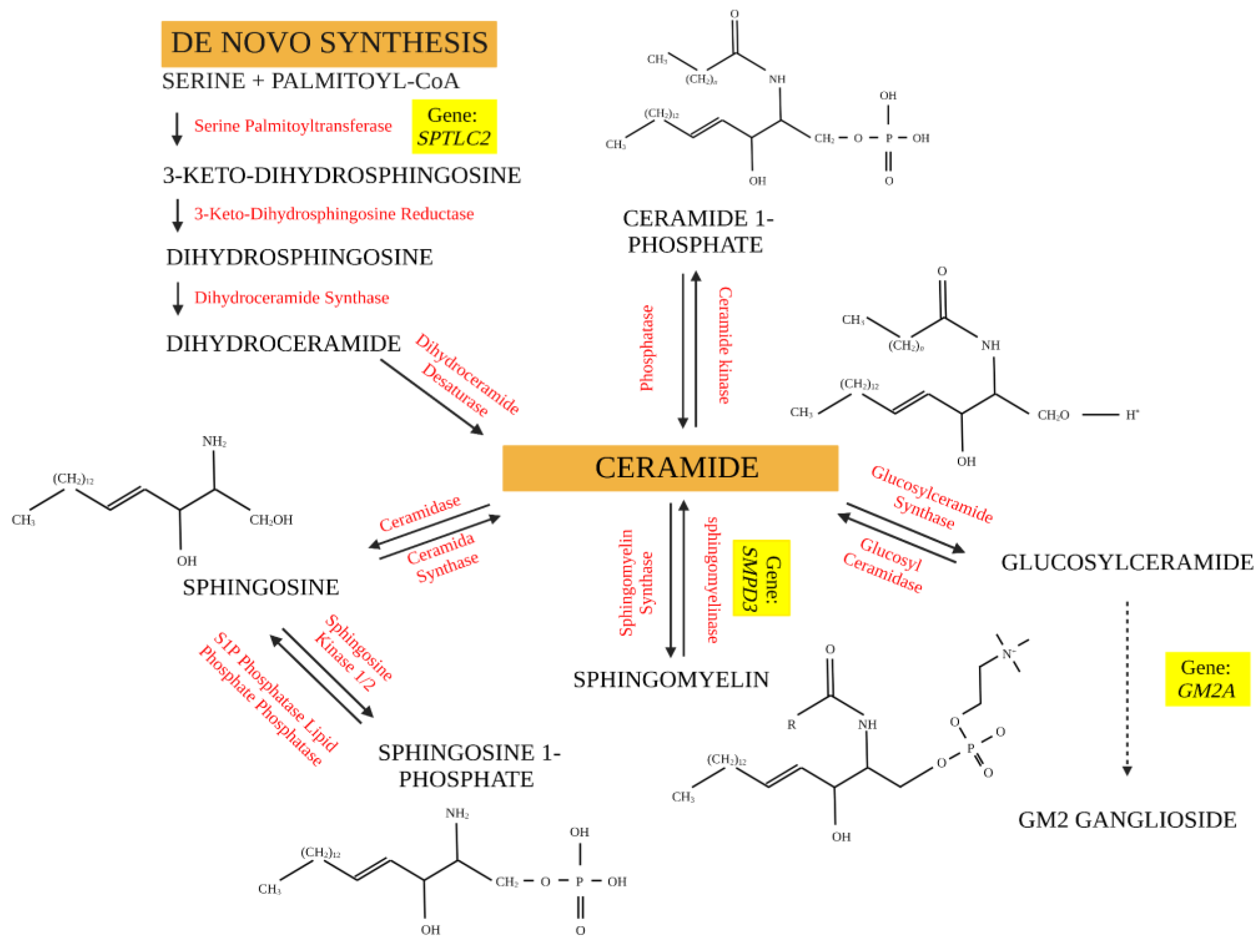 Metabolites 13 00291 g002