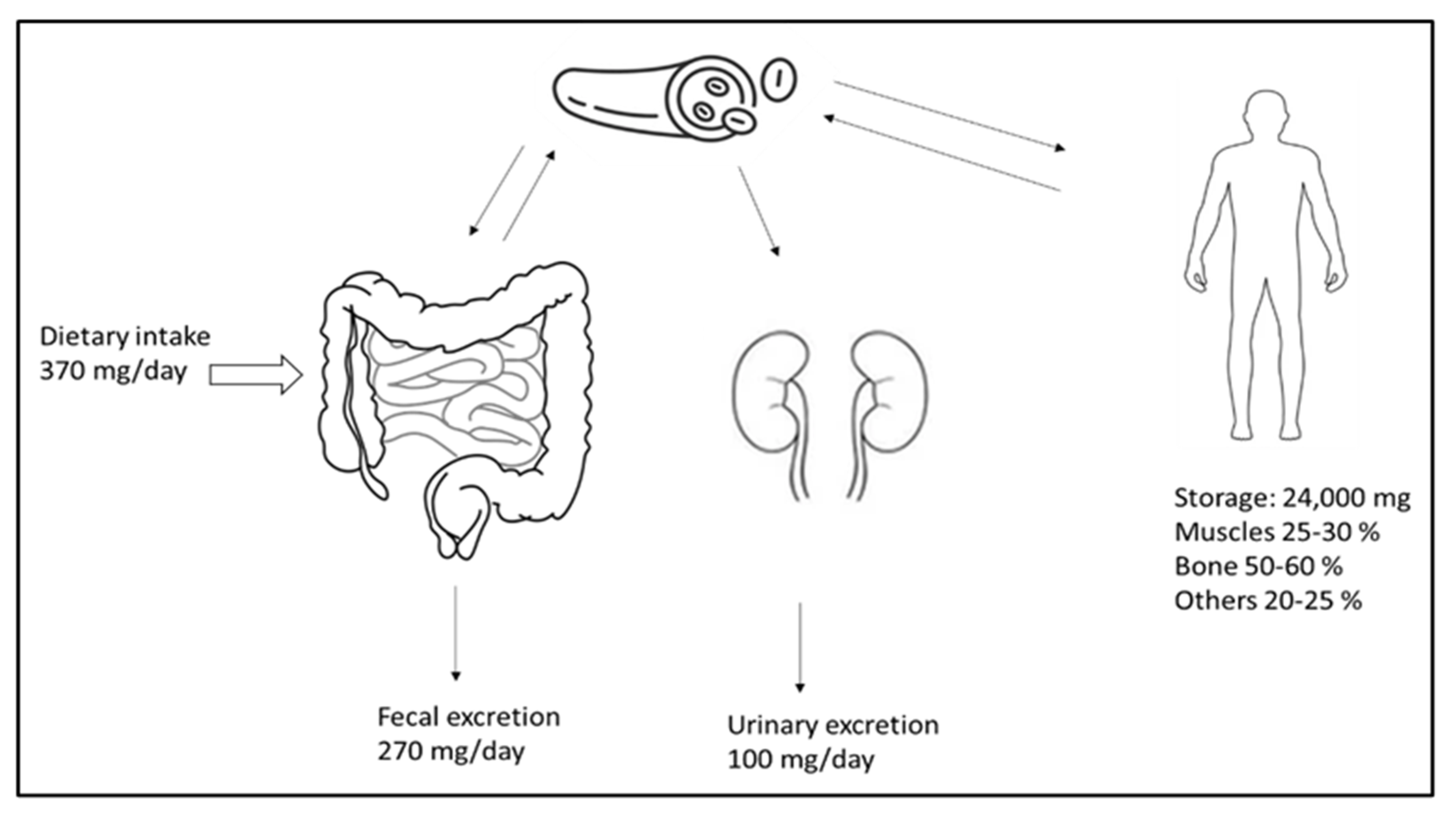 Metabolites 13 00306 g001 Metabolites 13 00306 g001